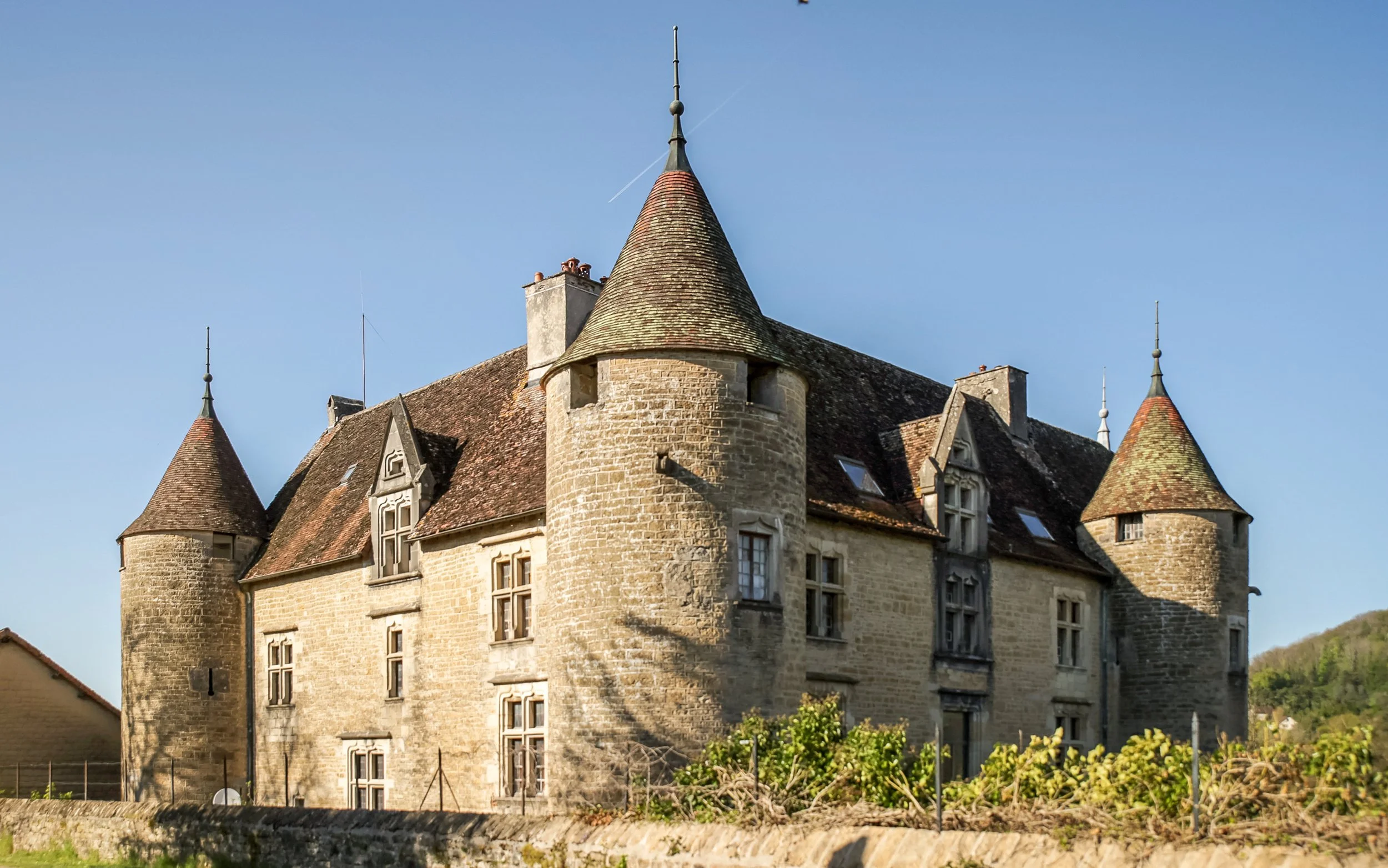 francis-york-chateau-de-domblans-jura-france-for-sale-42.jpg