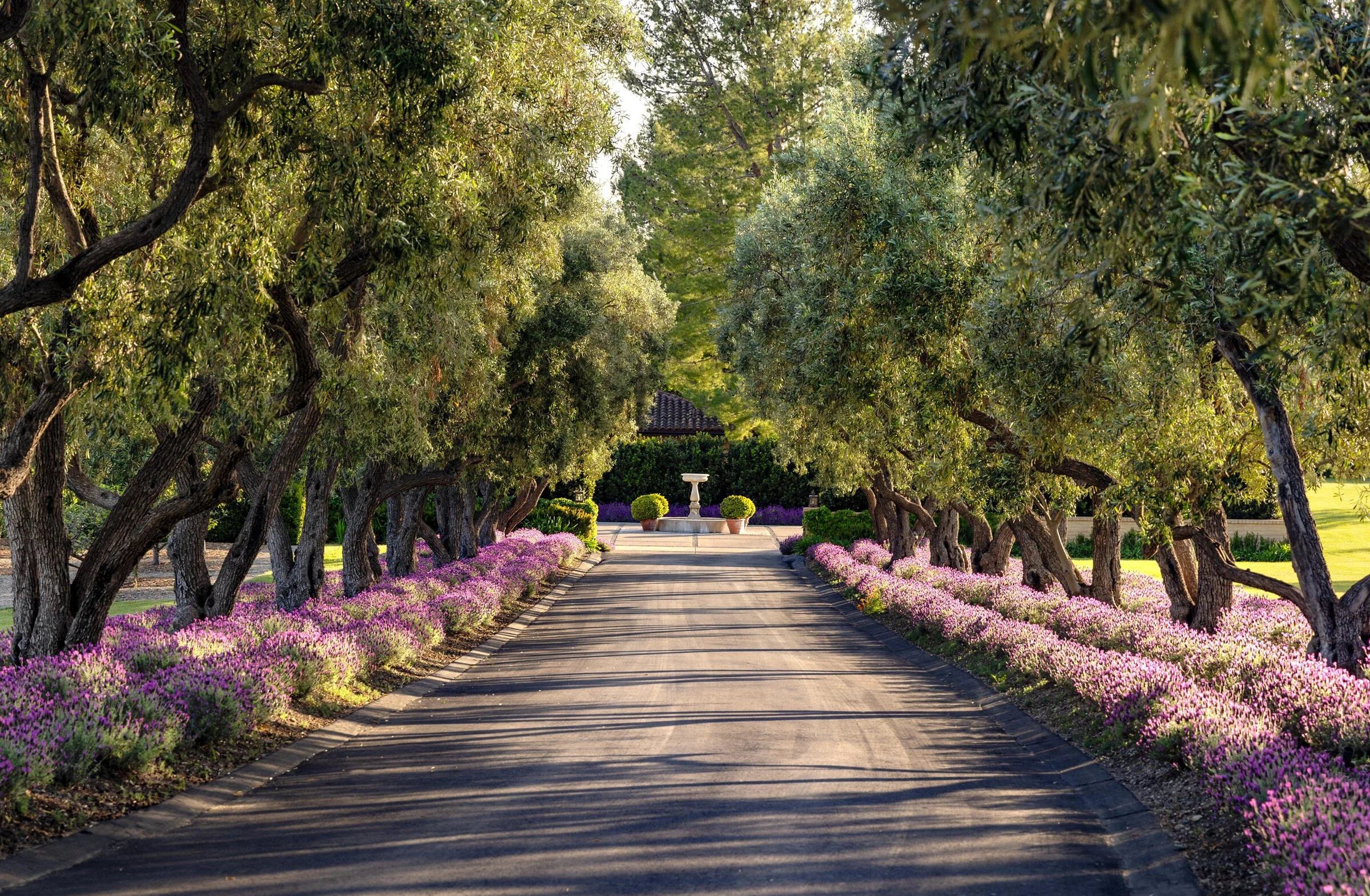 francis-york-westerly-estate-santa-ynez-california-wine-country-37.jpg