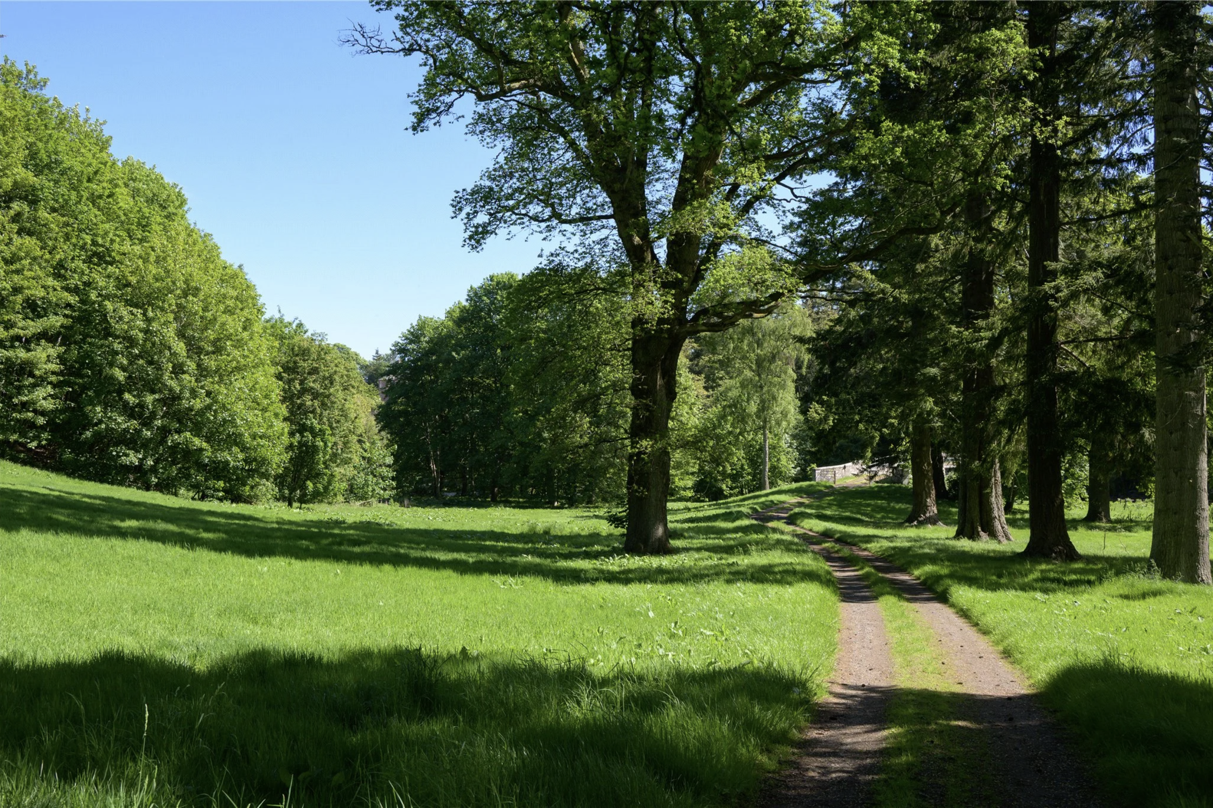 francis-york-brechin-castle-scotland-1.png