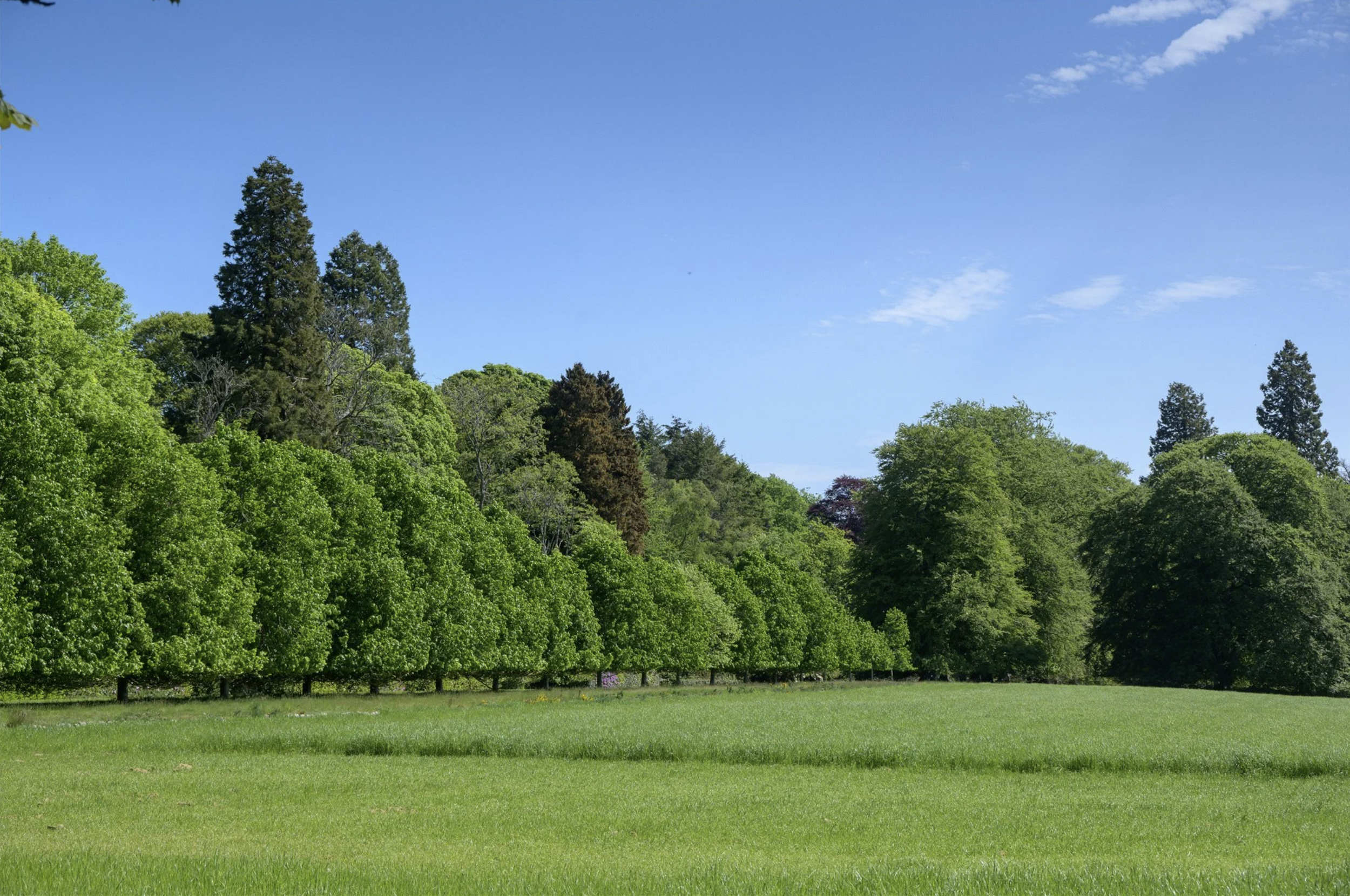 francis-york-brechin-castle-scotland-60.png