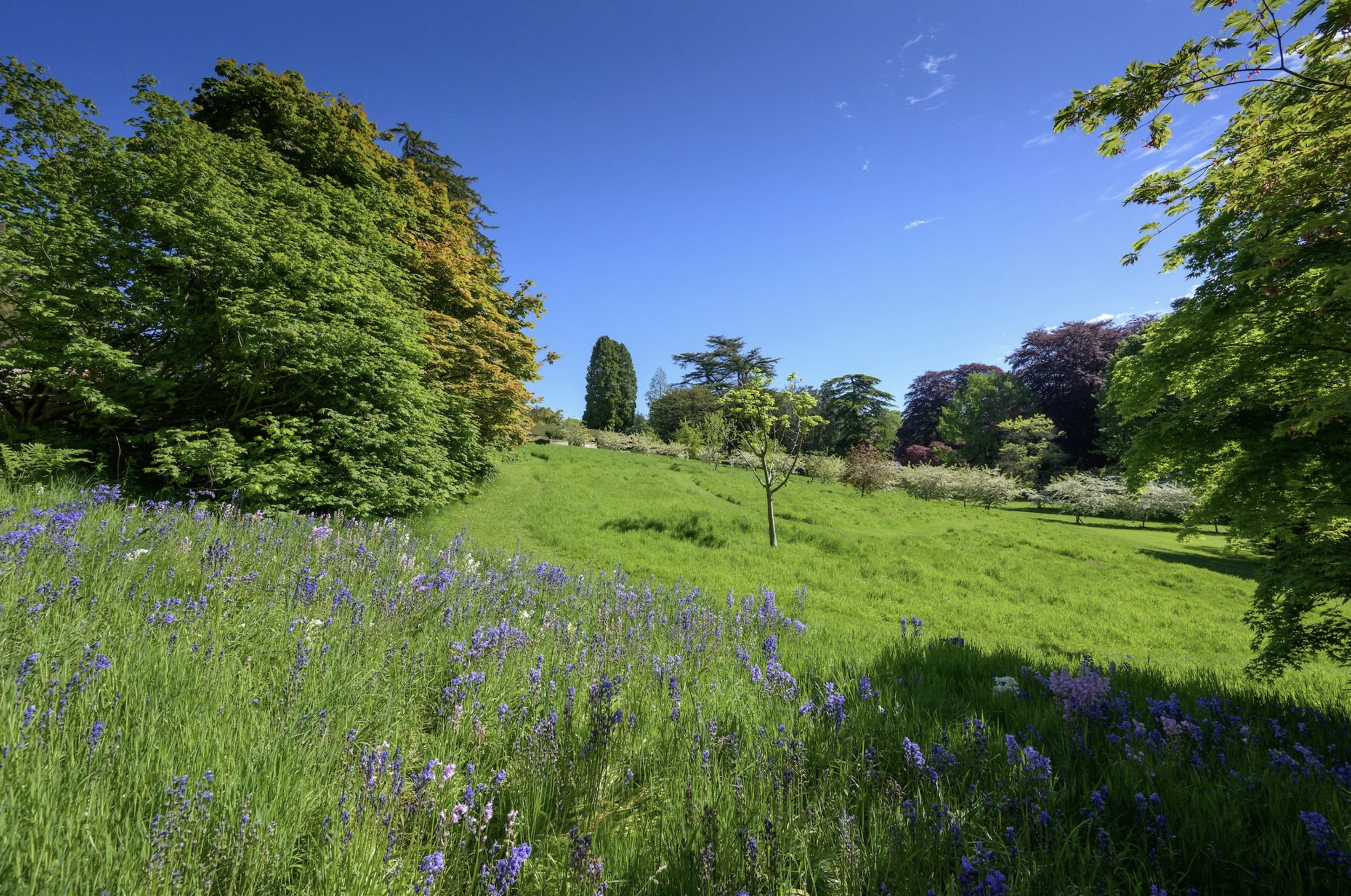 francis-york-brechin-castle-scotland-55.png