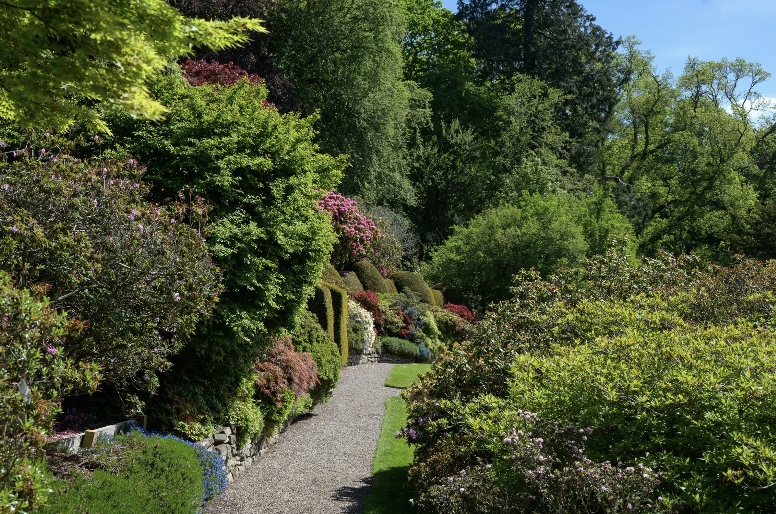 francis-york-brechin-castle-scotland-53.png
