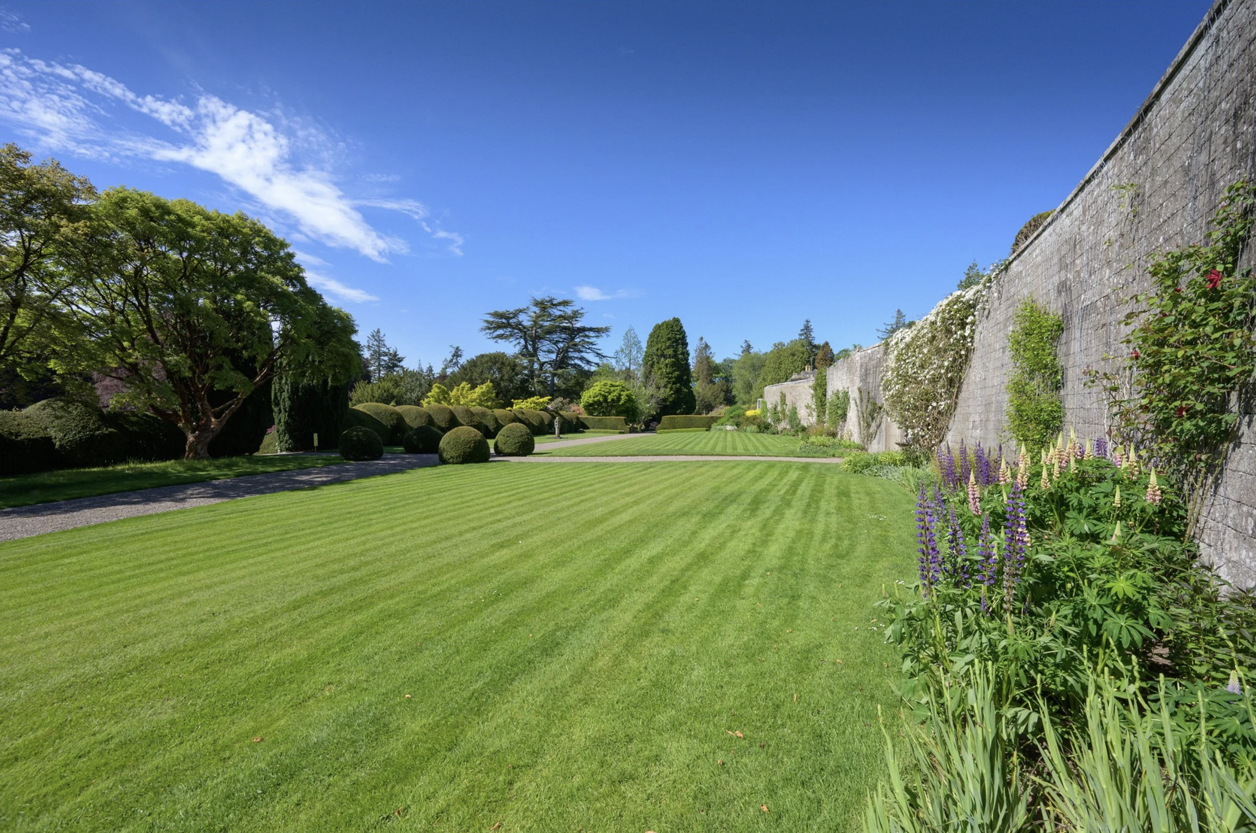 francis-york-brechin-castle-scotland-52.png