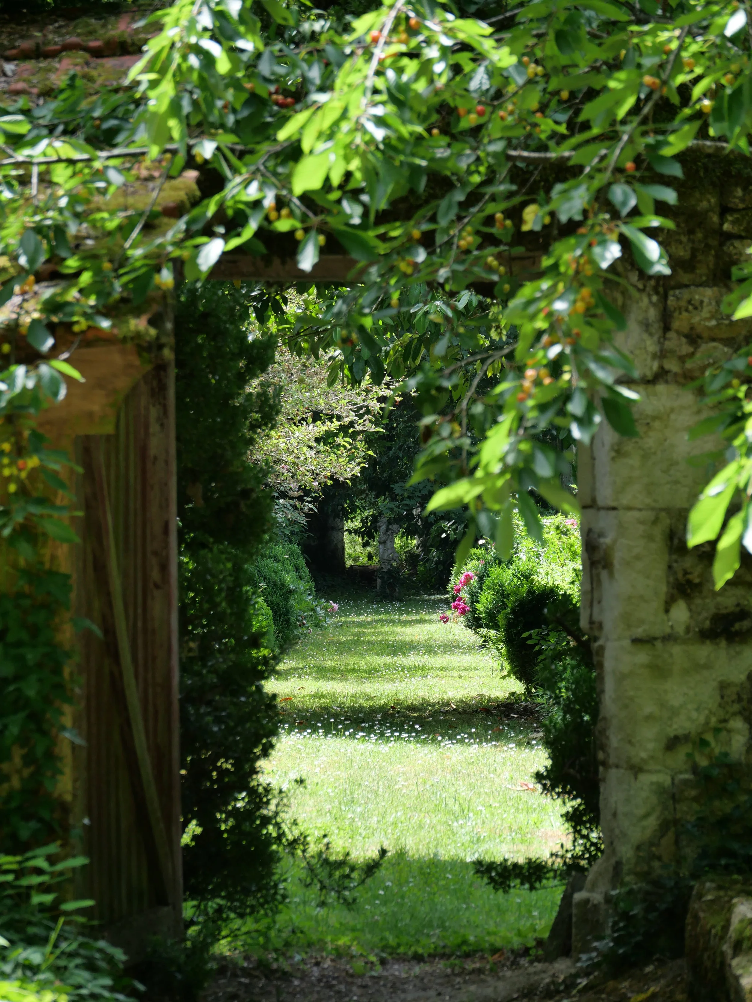 francis-york-oire-valley-chateau-1715-france-29.JPG