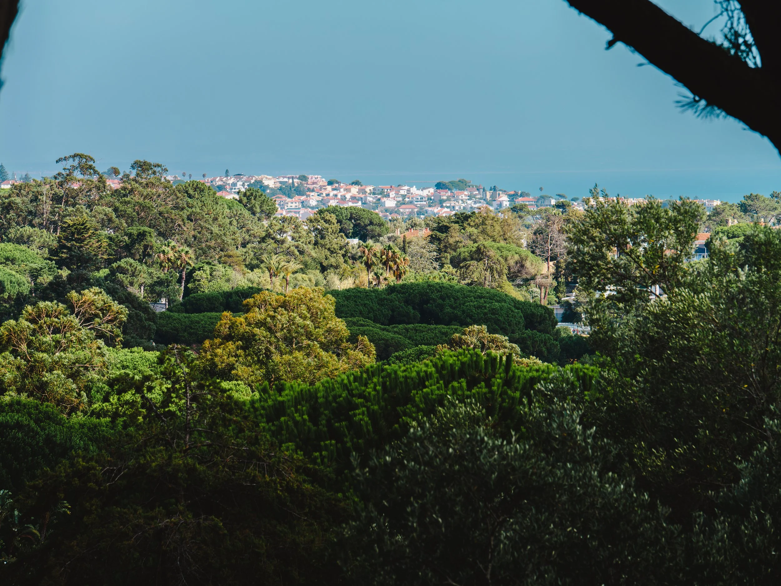 francis-york-quinta-beatriz-patino-portuguese-riviera-5.jpg
