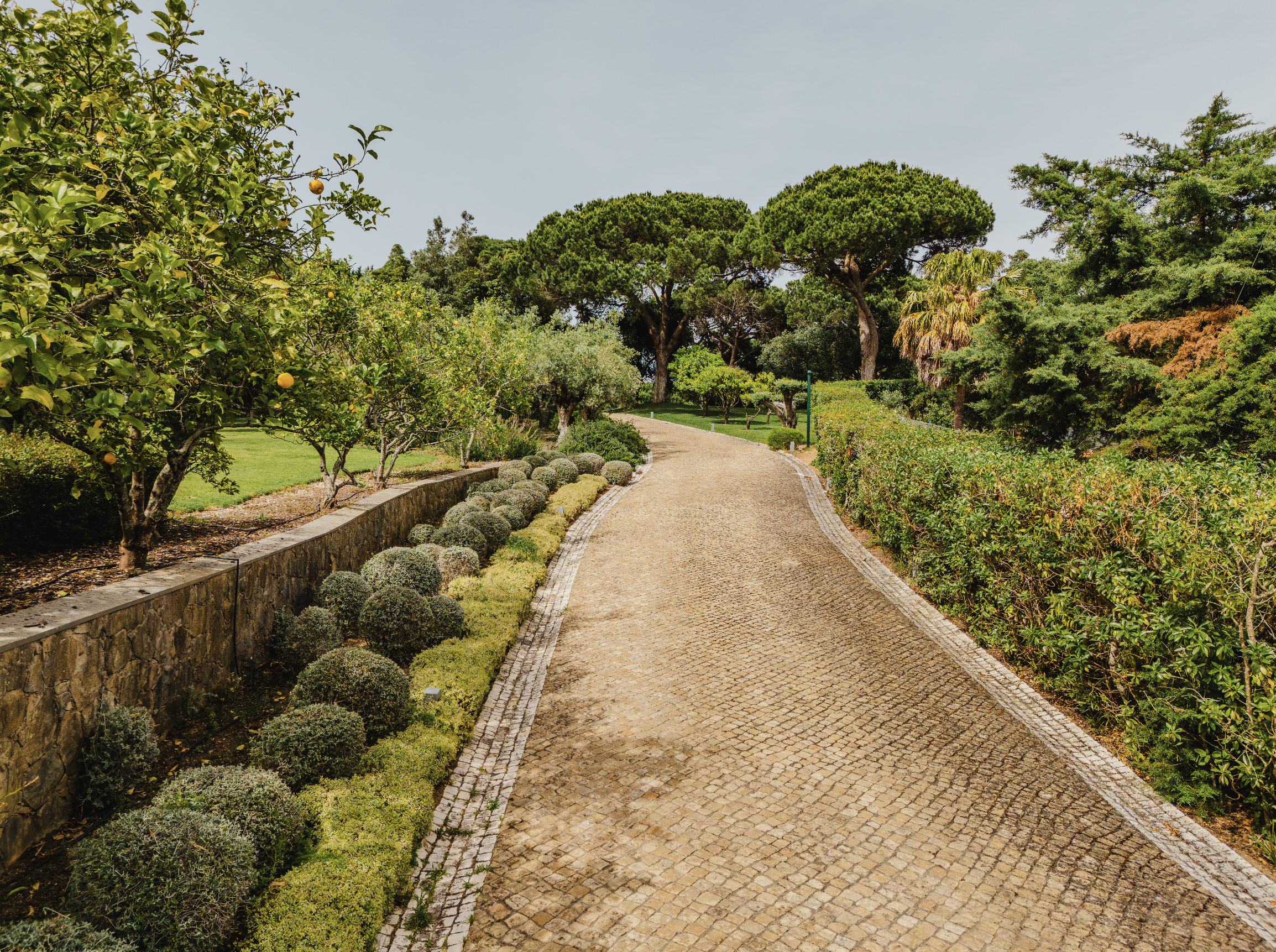 francis-york-quinta-beatriz-patino-portuguese-riviera-23.png