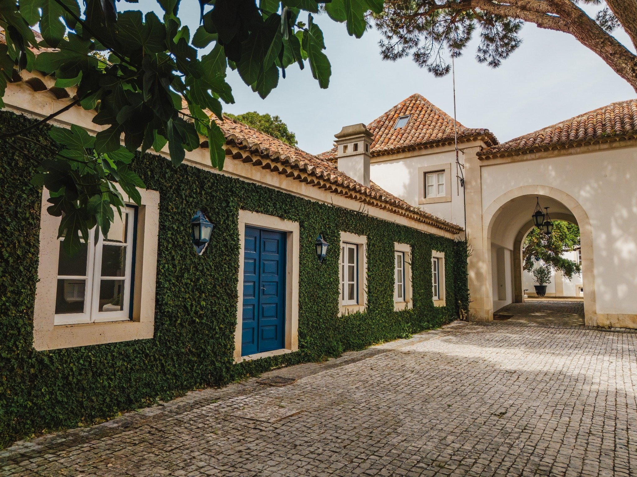 francis-york-quinta-beatriz-patino-portuguese-riviera-99(1).jpg