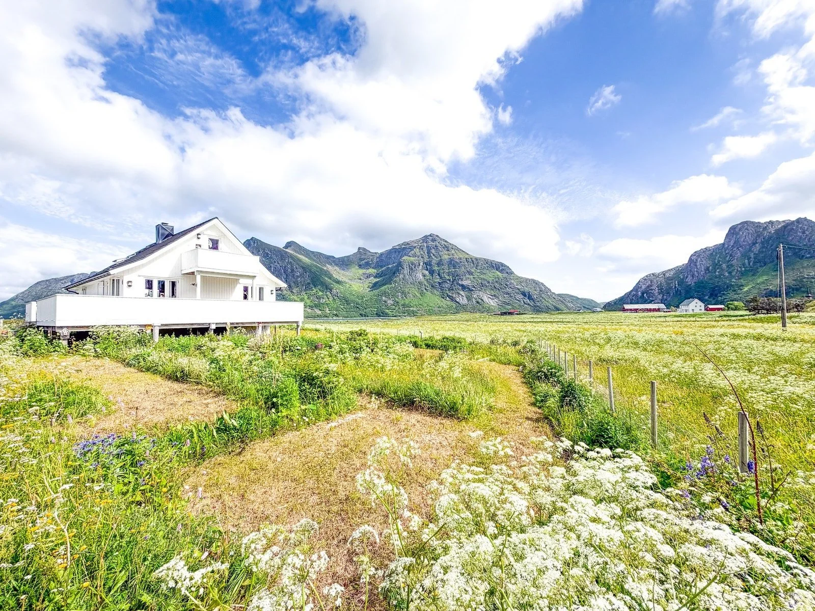 francis-york-lofoten-islands-12.jpg