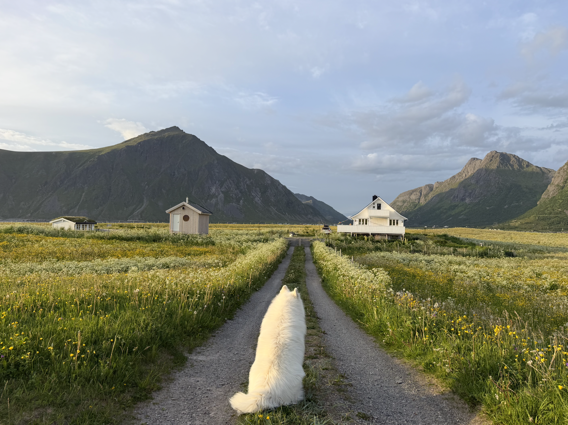 An American Couple Found a Nature Lover’s Paradise in Norway. Now Their Farmhouse Is for Sale for $1.2 Million