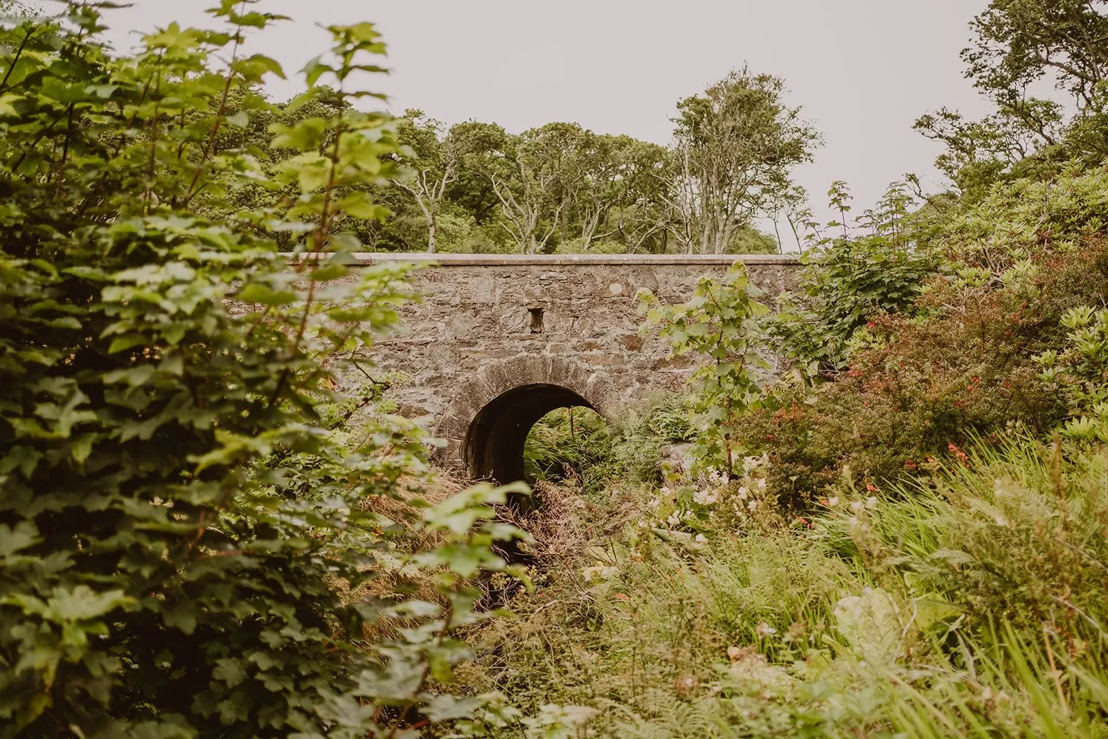 francis-york-ronachan-house-scotland-west-coast-20.webp