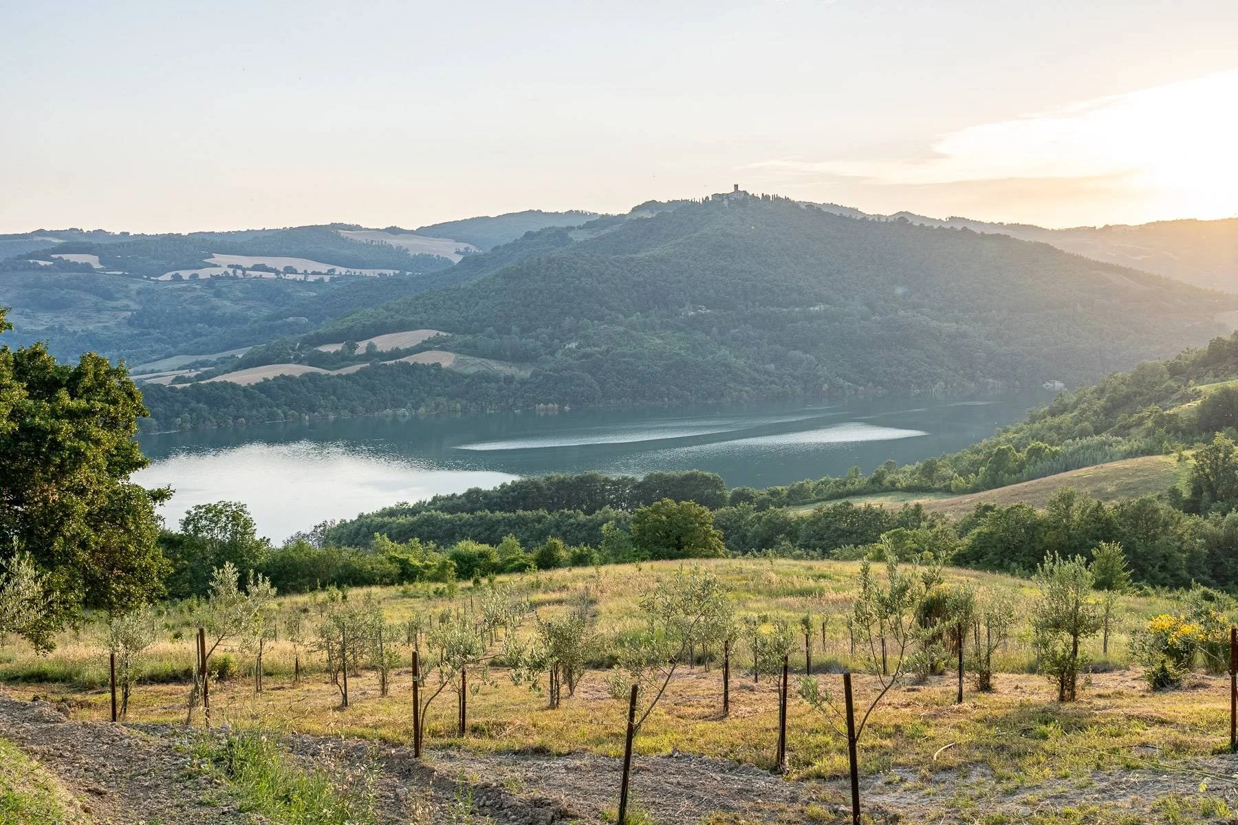 francis-york-17-acre-farm-estate-umbria-lake-valfabbrica-for-sale-12.jpg