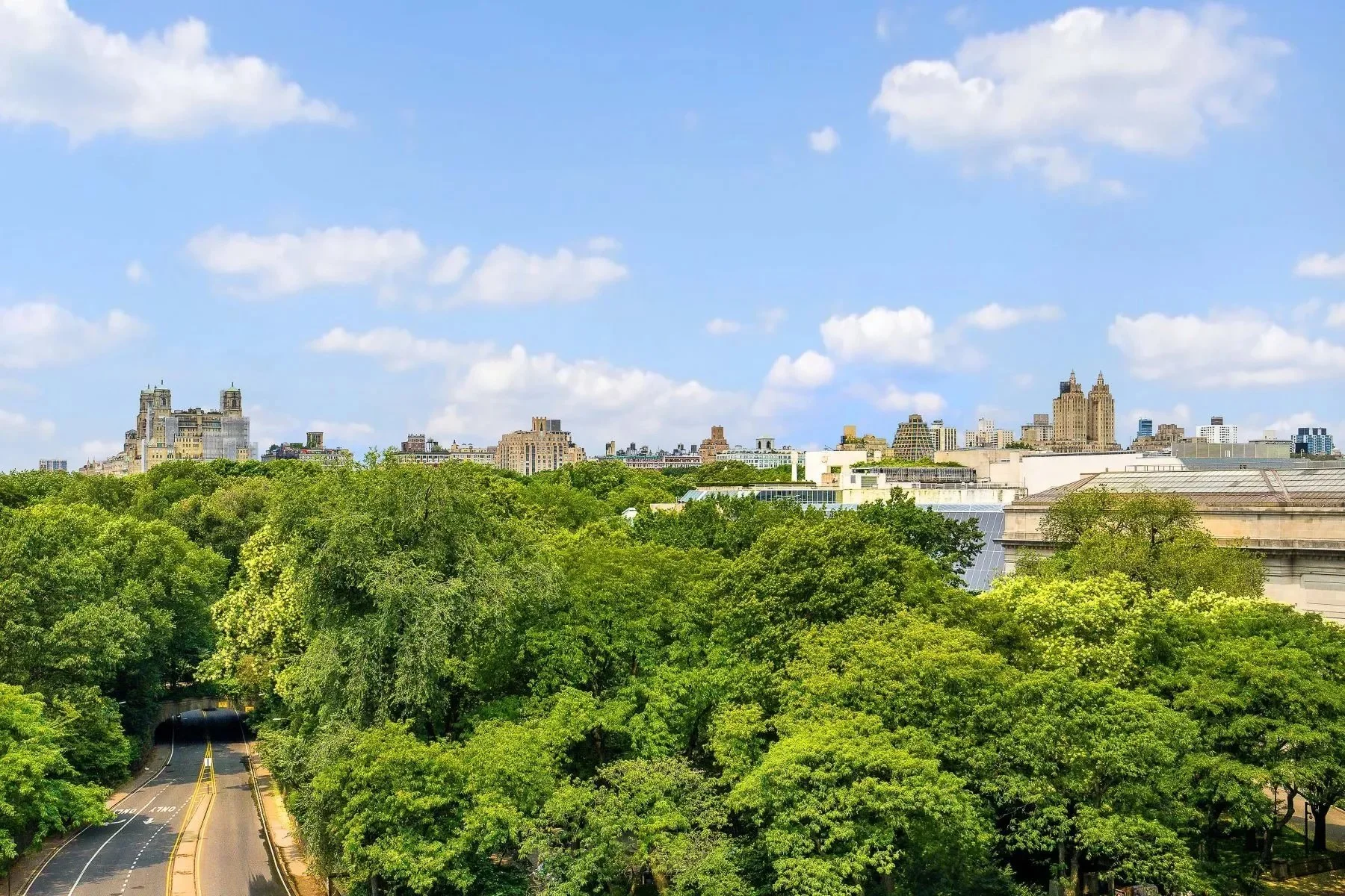 FY-New-York-Gilded-Age-Mansion-NYC-Francis-York-22.jpeg