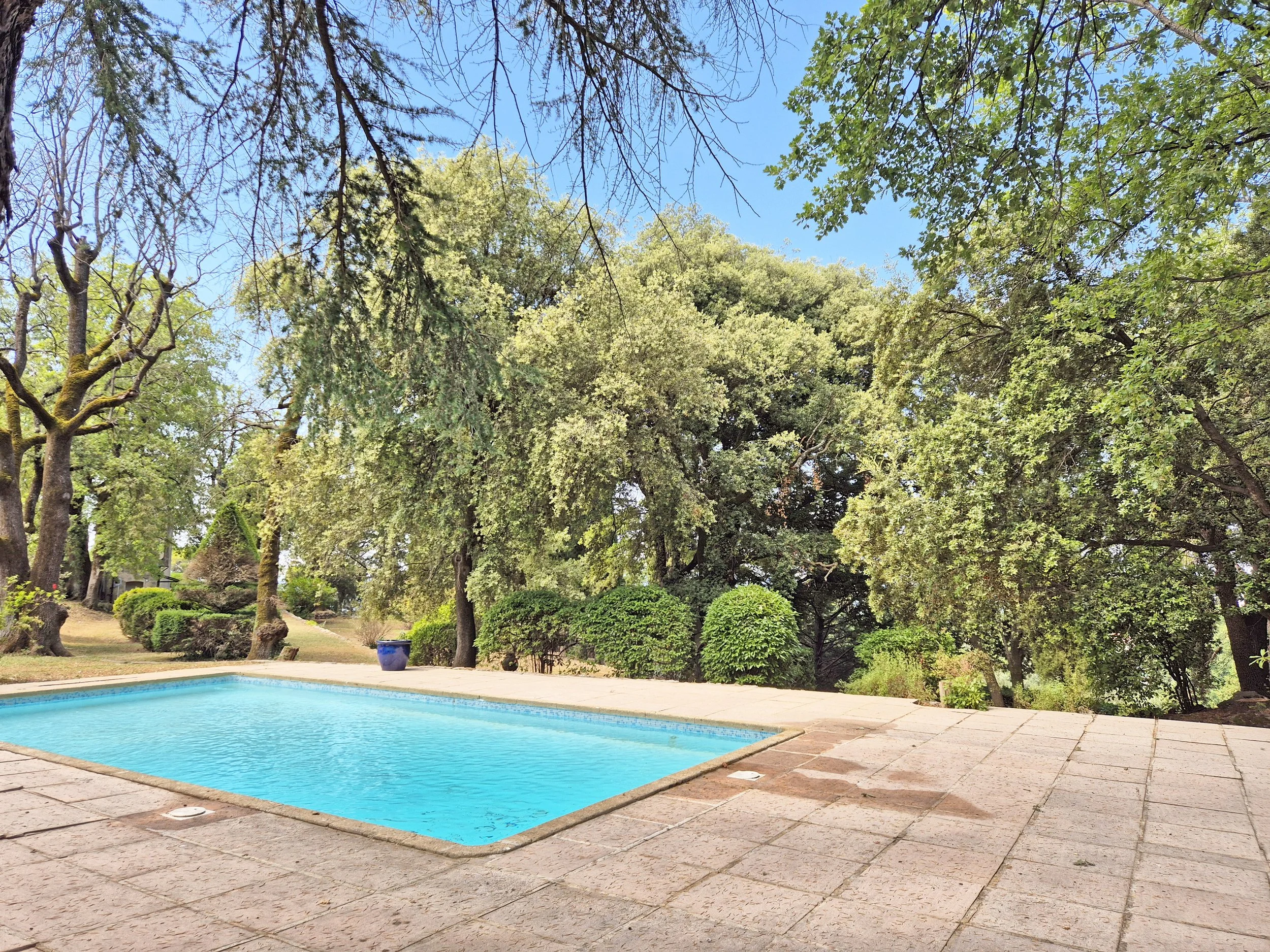 francis-york-caillan-provence-house-nadia-leger-13.jpg