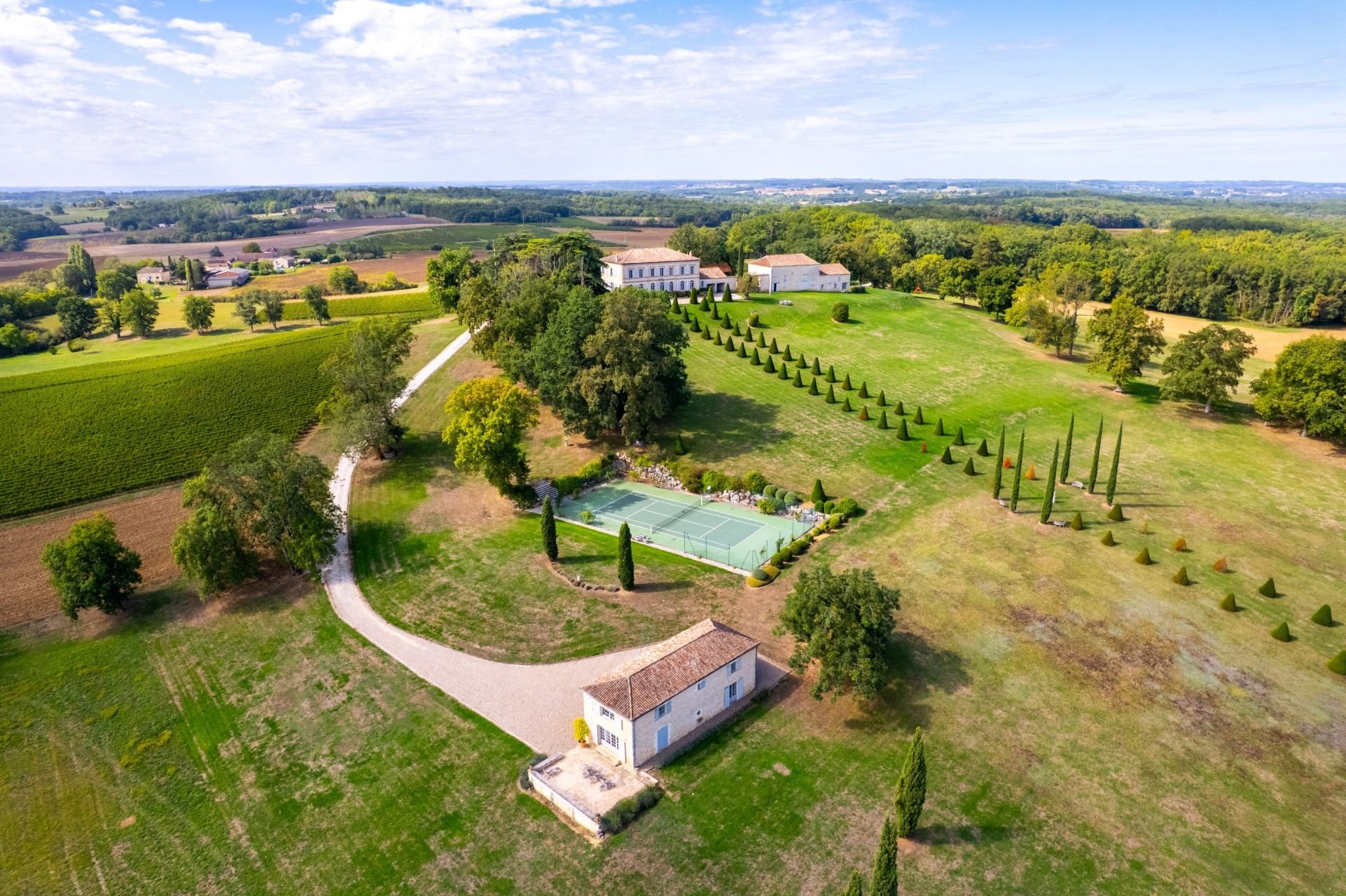 francis-york-18th-century-manor-dordogne-chardonnay-vineyard-14.jpg