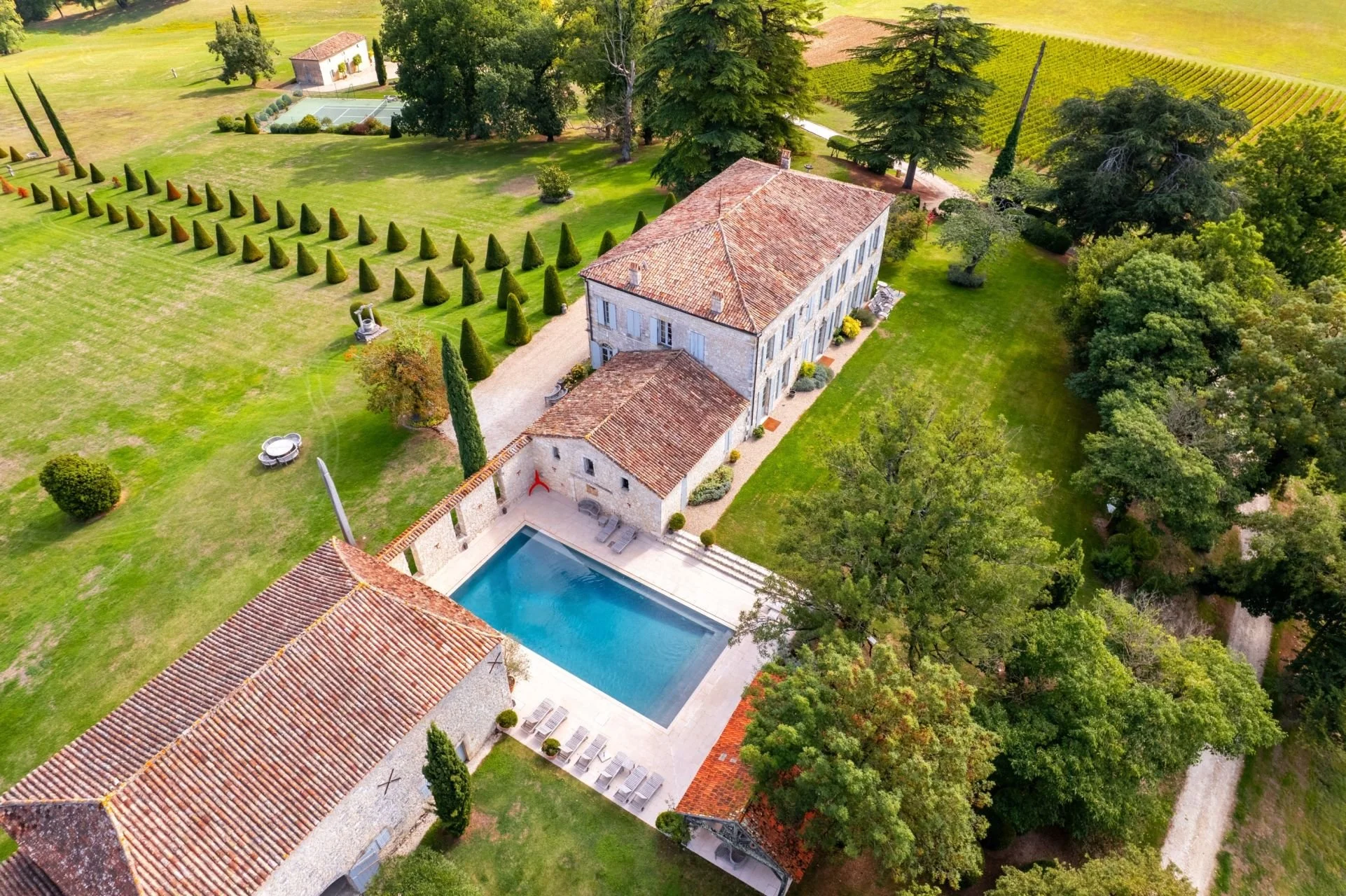 francis-york-18th-century-manor-dordogne-chardonnay-vineyard-10.jpg