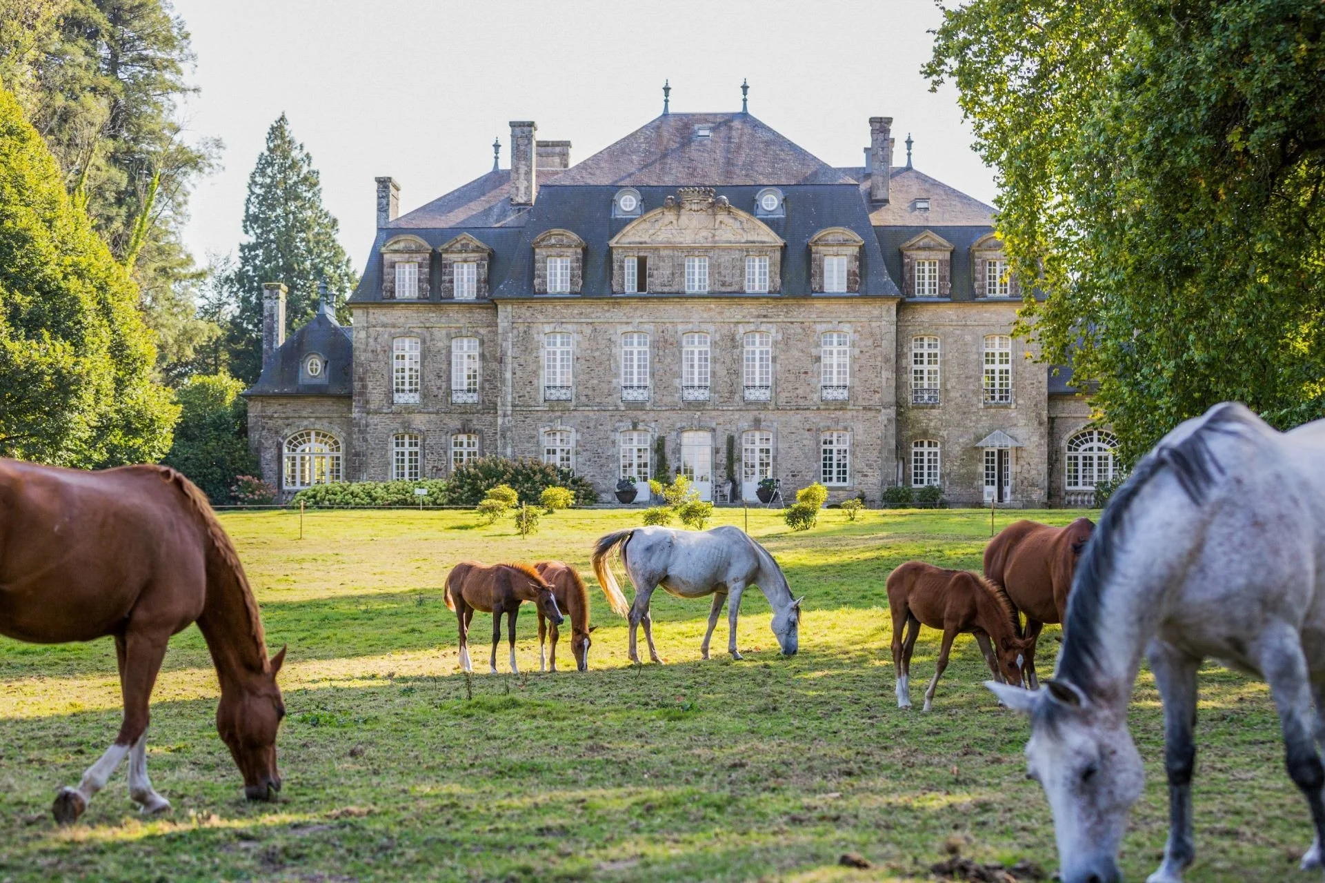 francis-york-28-room-chateau-on-32-acres-in-brittany-with-stables-guest-houses-an-indoor-pool-and-hammam-1.jpg