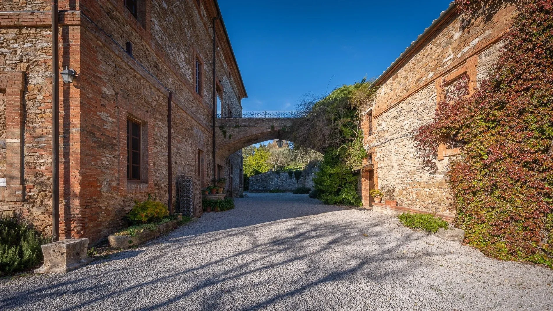 francis-york-a-17th-century-tuscan-estate-near-chianti-classico-with-olive-groves-vineyards-and-ancient-wine-cellars-13.jpg
