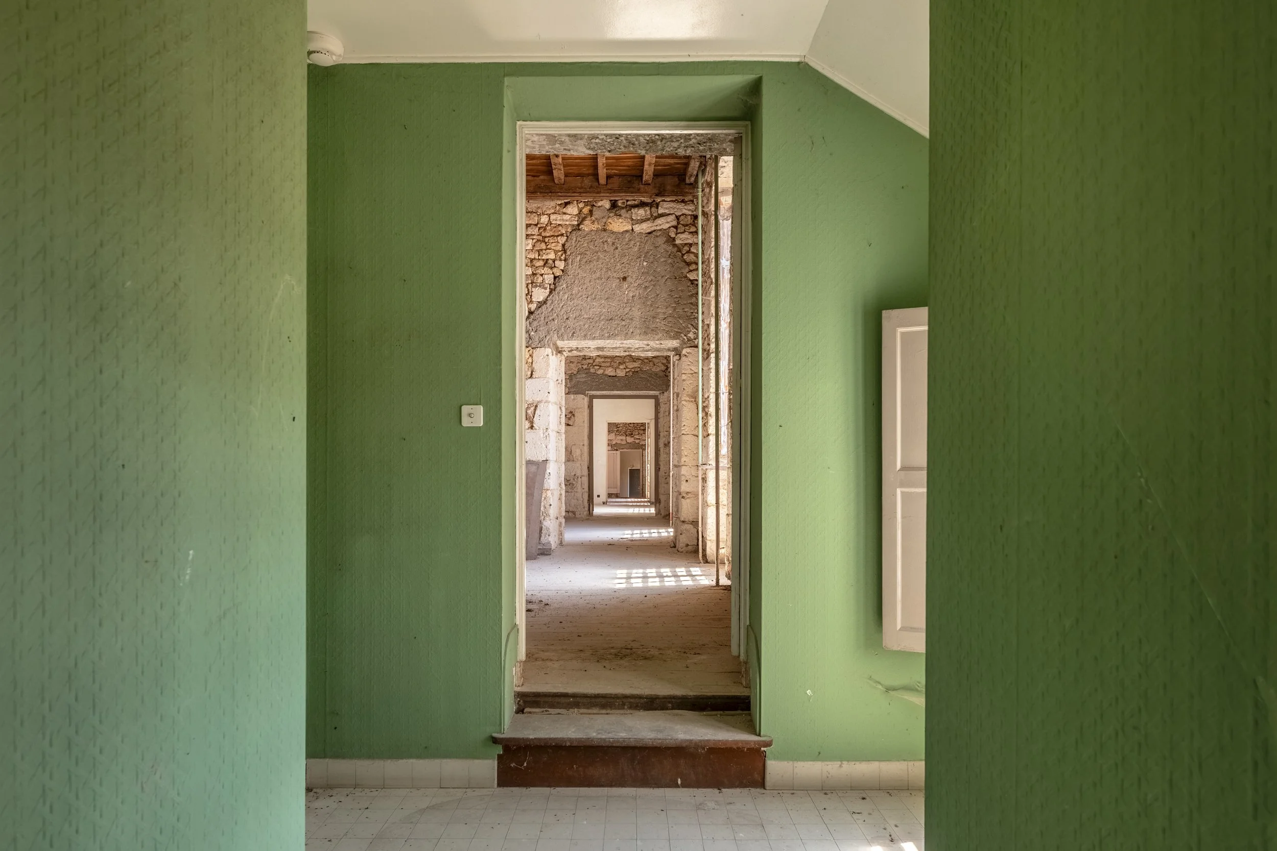 francis-york-PER-3888-FDL-18th-century-chateau-to-restore-185-acres-dordogne-france-20.jpg