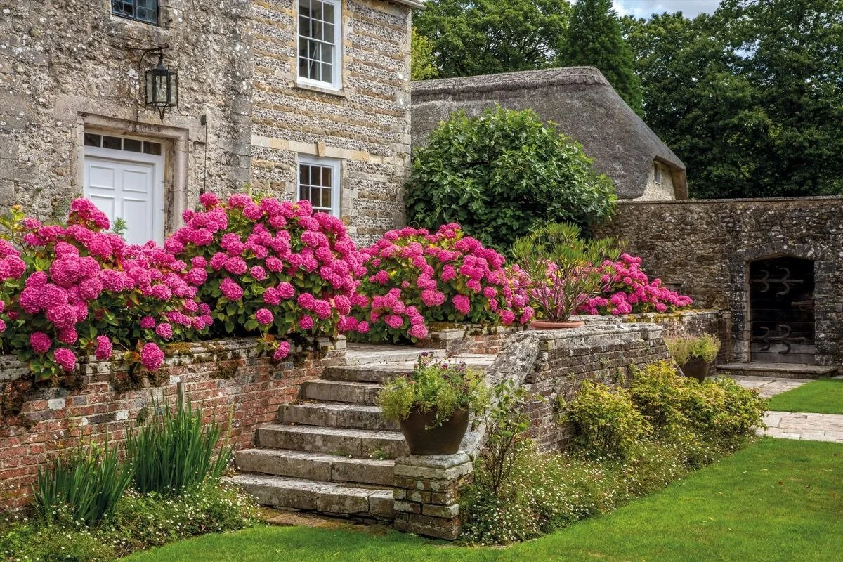 binghams-melcombe-historic-manor-estate-dorset-england-16.jpg