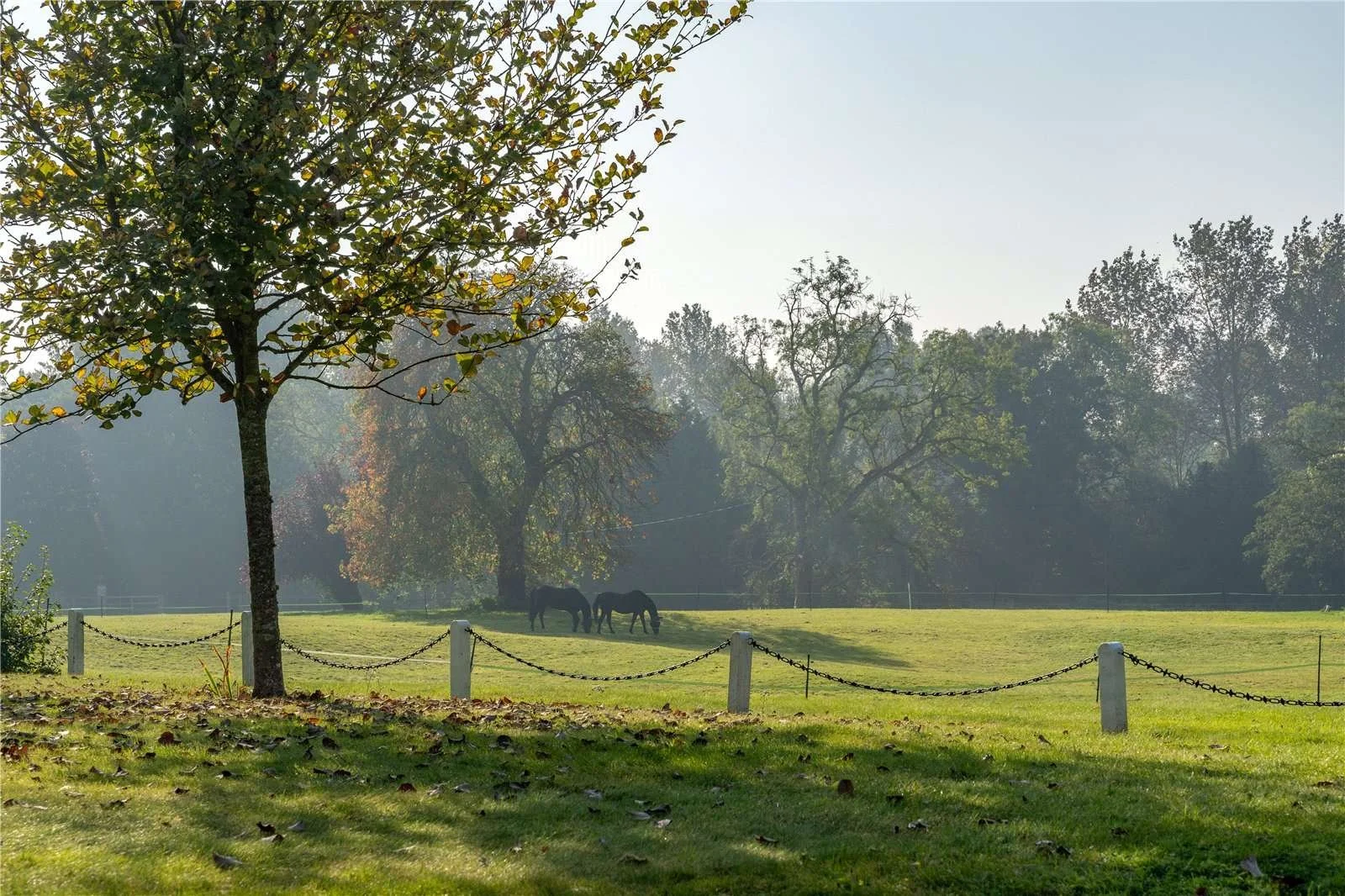 francis-york-hunton-manor-georgian-country-house-hampshire-england-8.jpg