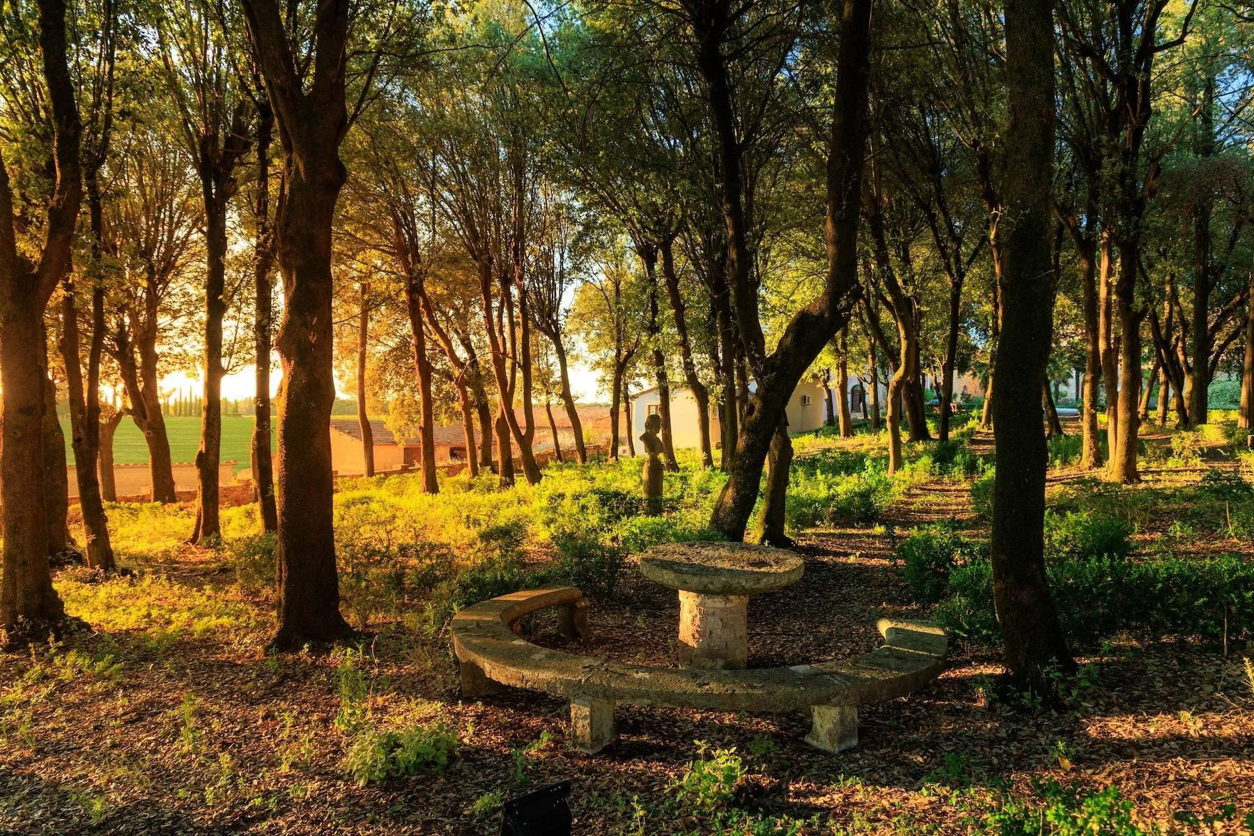 francis-york-medieval-villa-753-acre-wine-estate-tuscany-italy-3.jpg