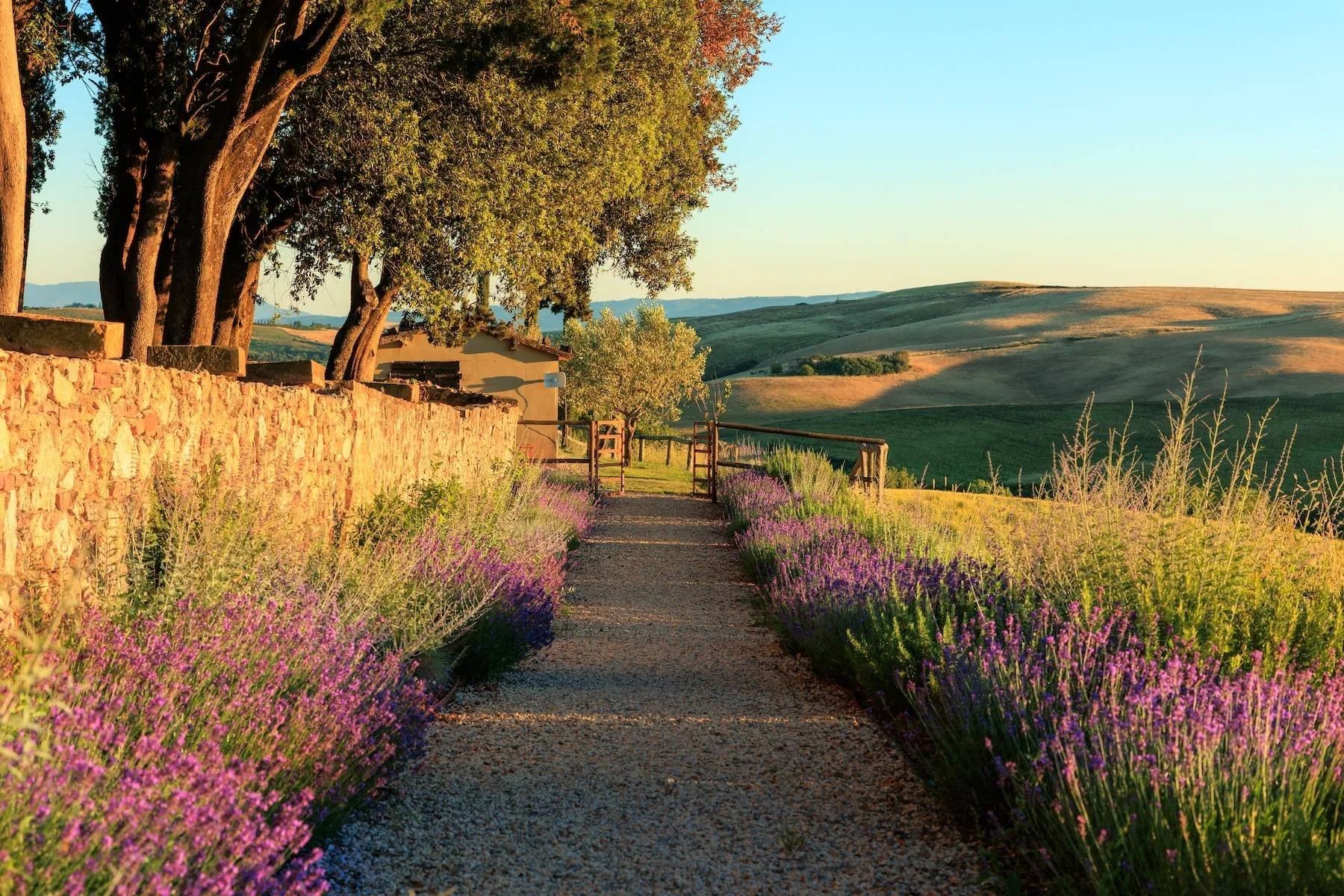 francis-york-medieval-villa-753-acre-wine-estate-tuscany-italy-5.jpg