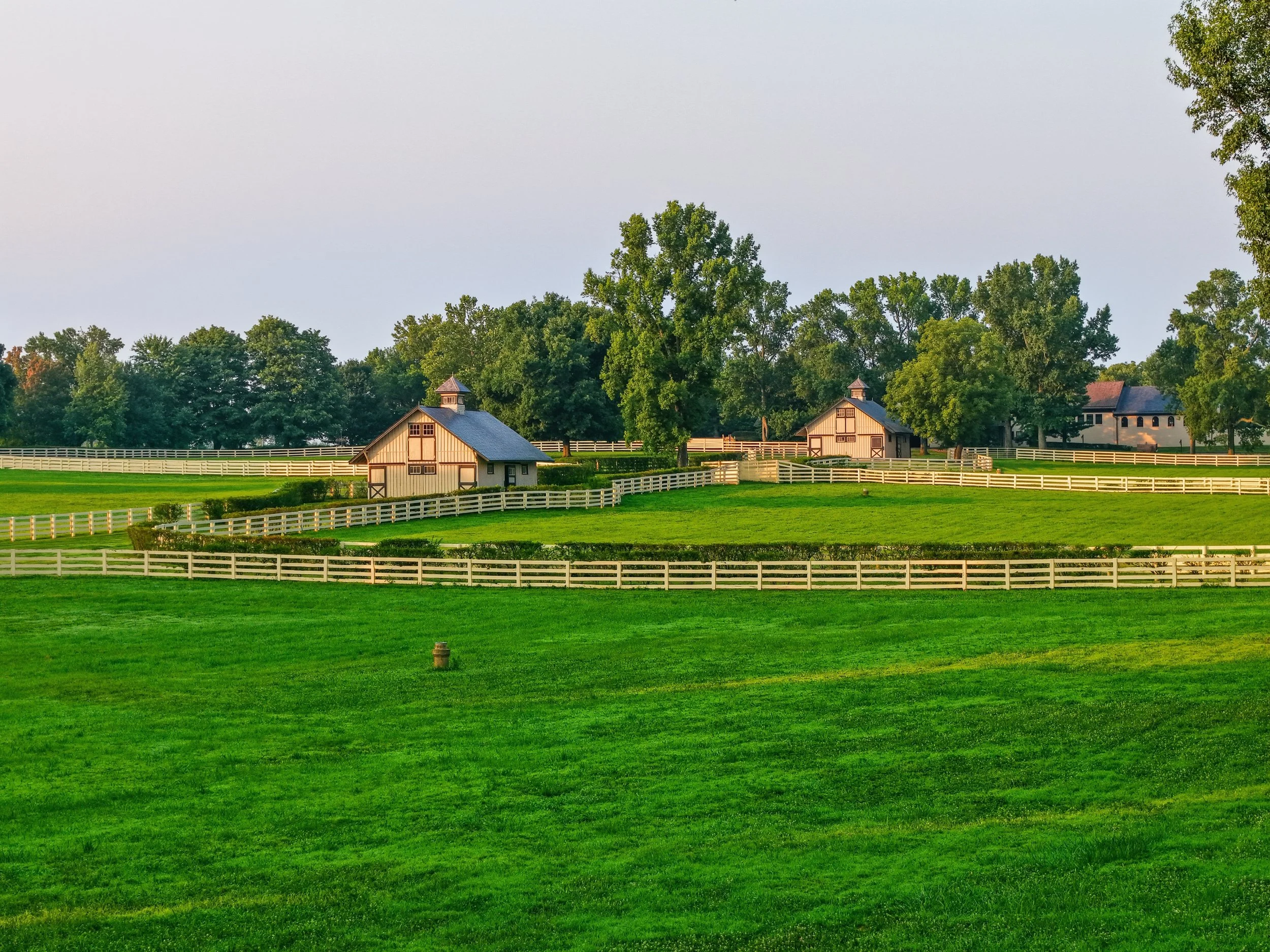 francis-york-castleton-lyons-historic-kentucky-equestrian-estate-keeneland-championship-sale-33.jpg