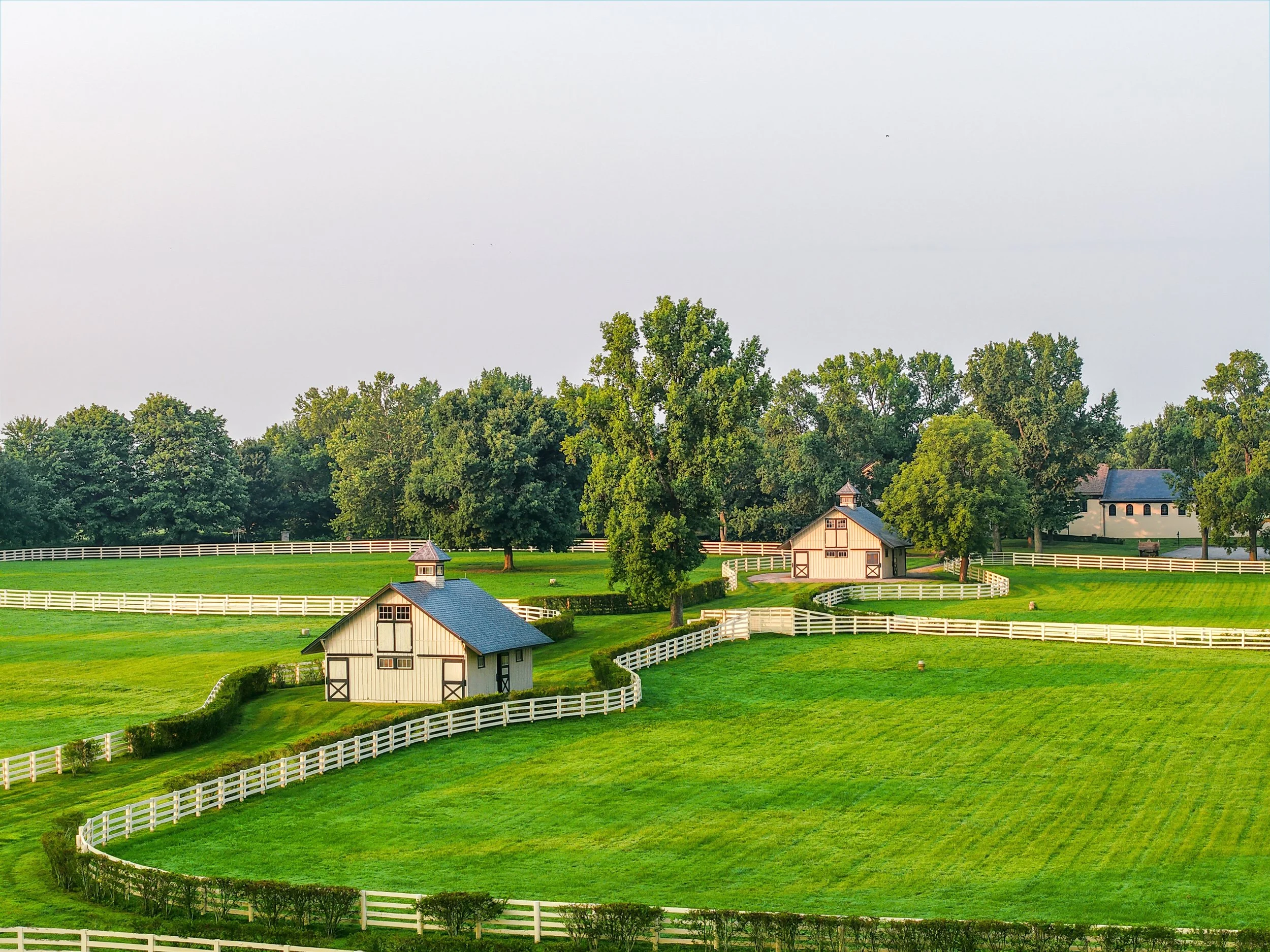 francis-york-castleton-lyons-historic-kentucky-equestrian-estate-keeneland-championship-sale-35.jpg