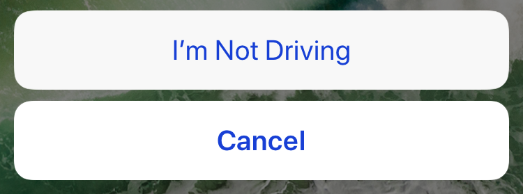 DNDWD-not-driving.png