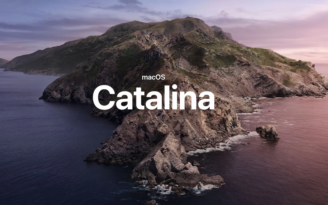 New-in-Catalina-photo.jpg