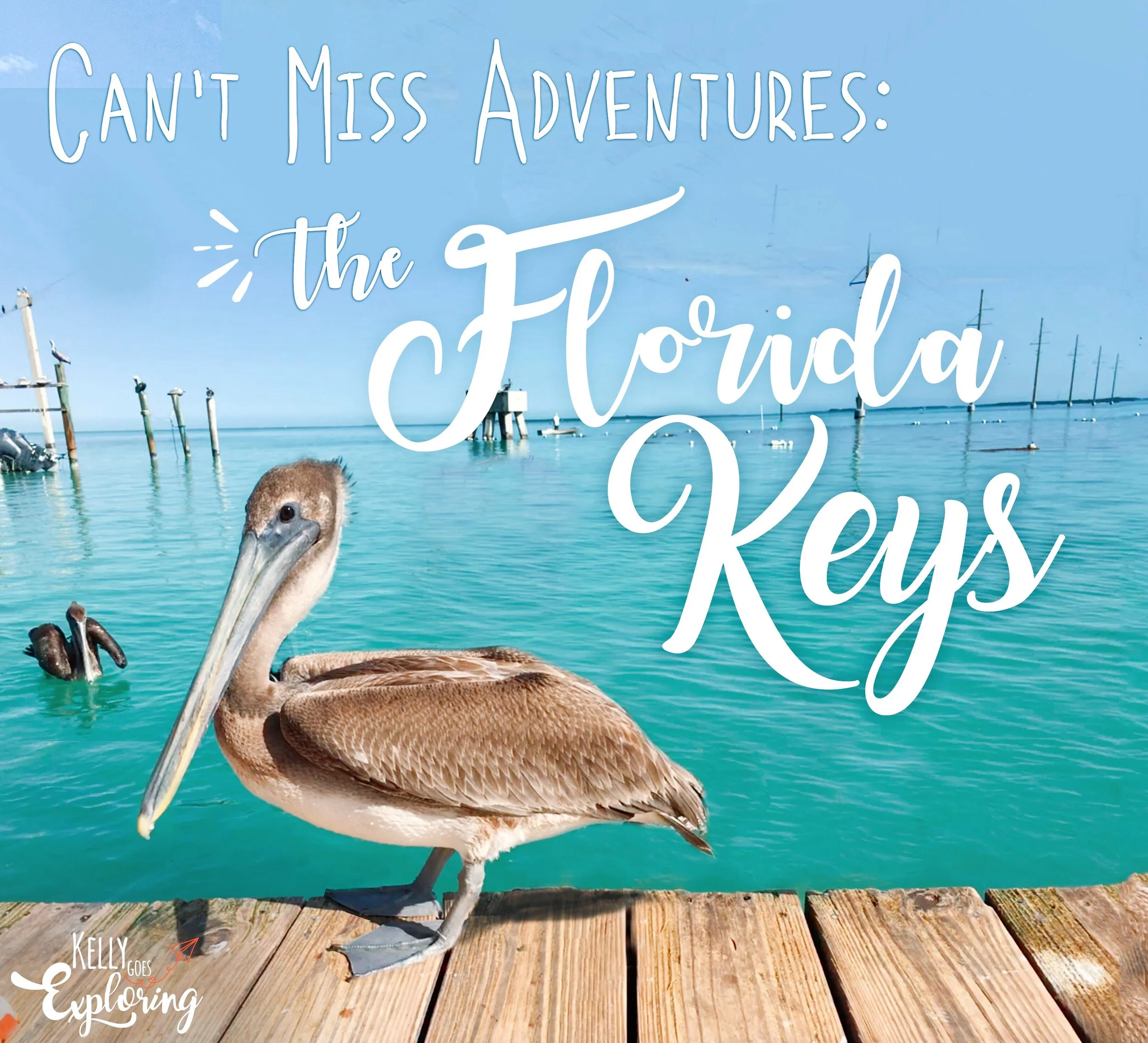 Top 10 Things to do while visiting the Florida Keys!