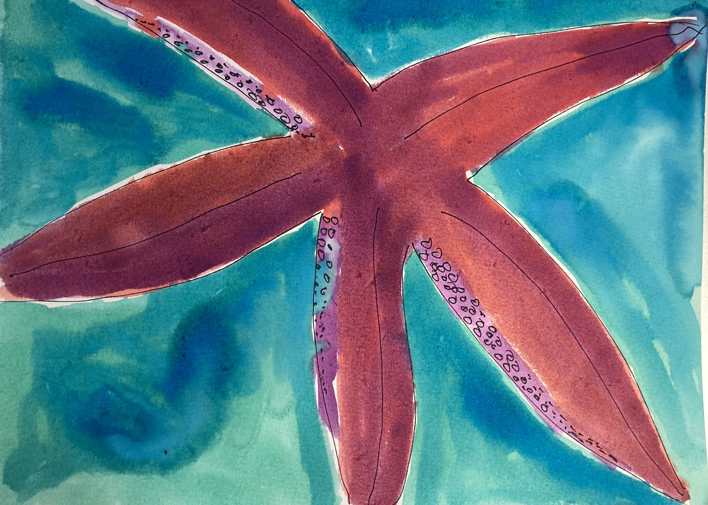 starfishWCLandscape.png