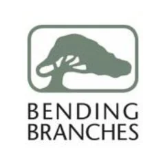 Bending Branches_id6b42Mgkn_1.jpeg