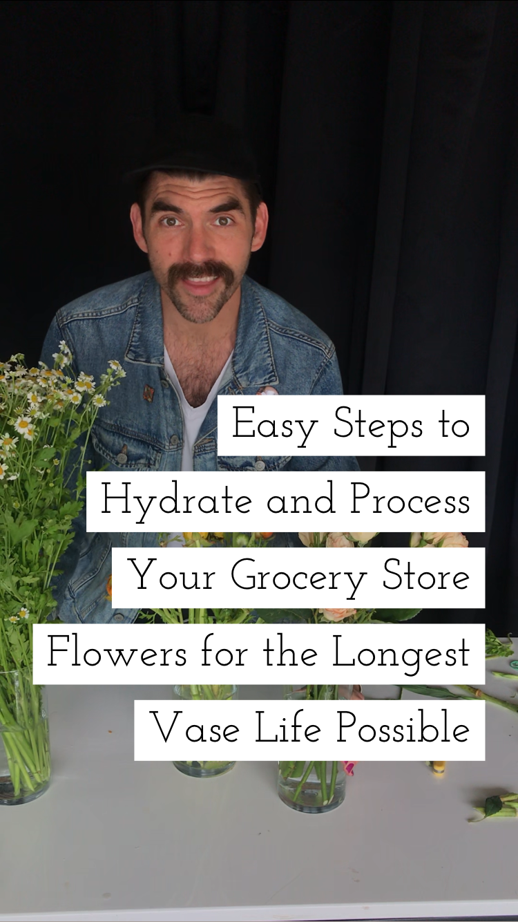 Get the Most Out of Your Grocery Store Flowers!