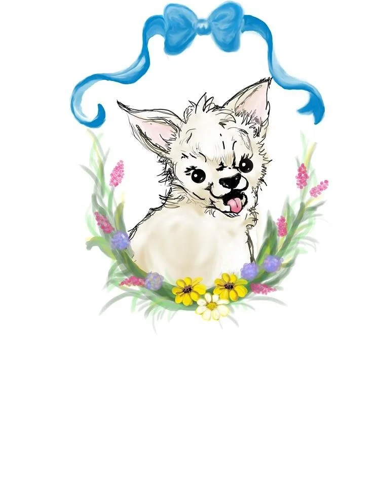  Some illustrations of my dog, Sweetie, for a children’s book I wrote.  