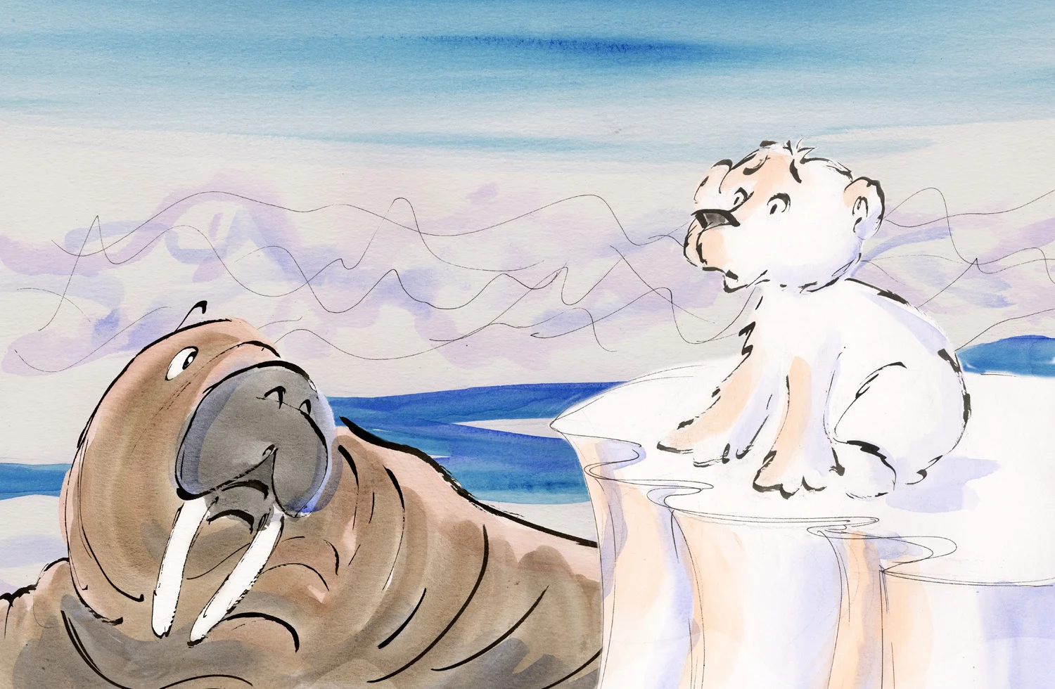 Polar Cub