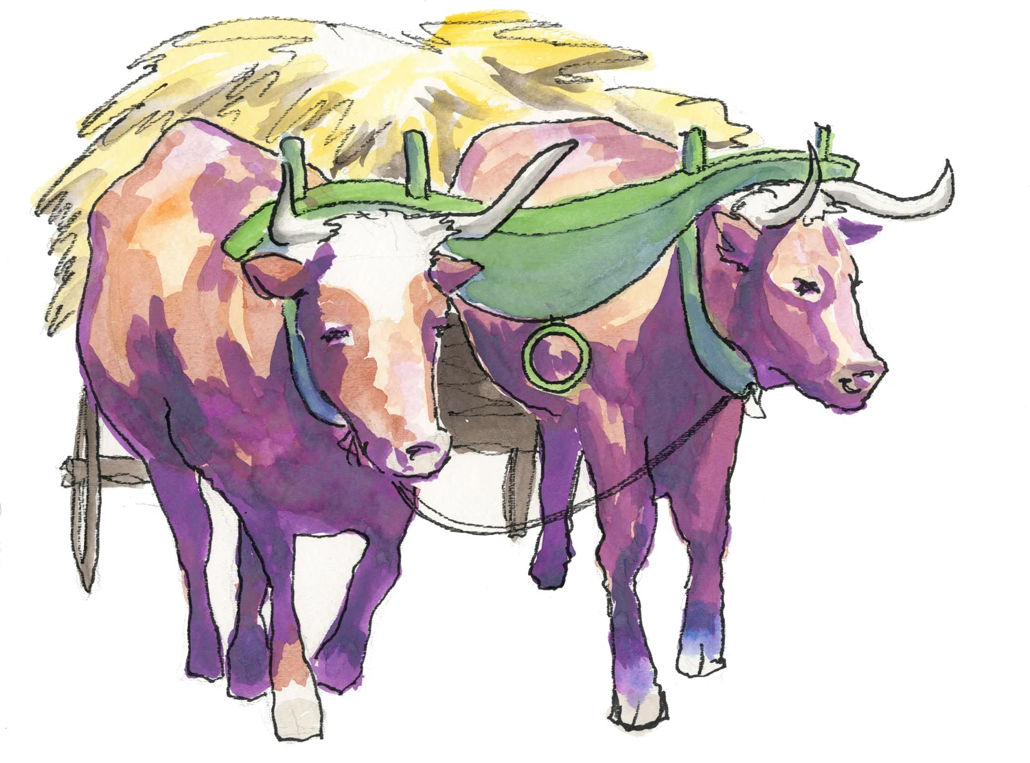 Oxen