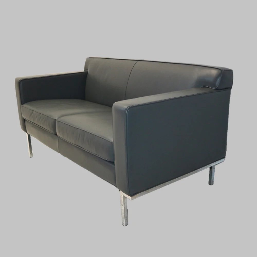 Theater Two-Seater Leather Sofa by Ted Boerner for Design Within Reach —  Dulce