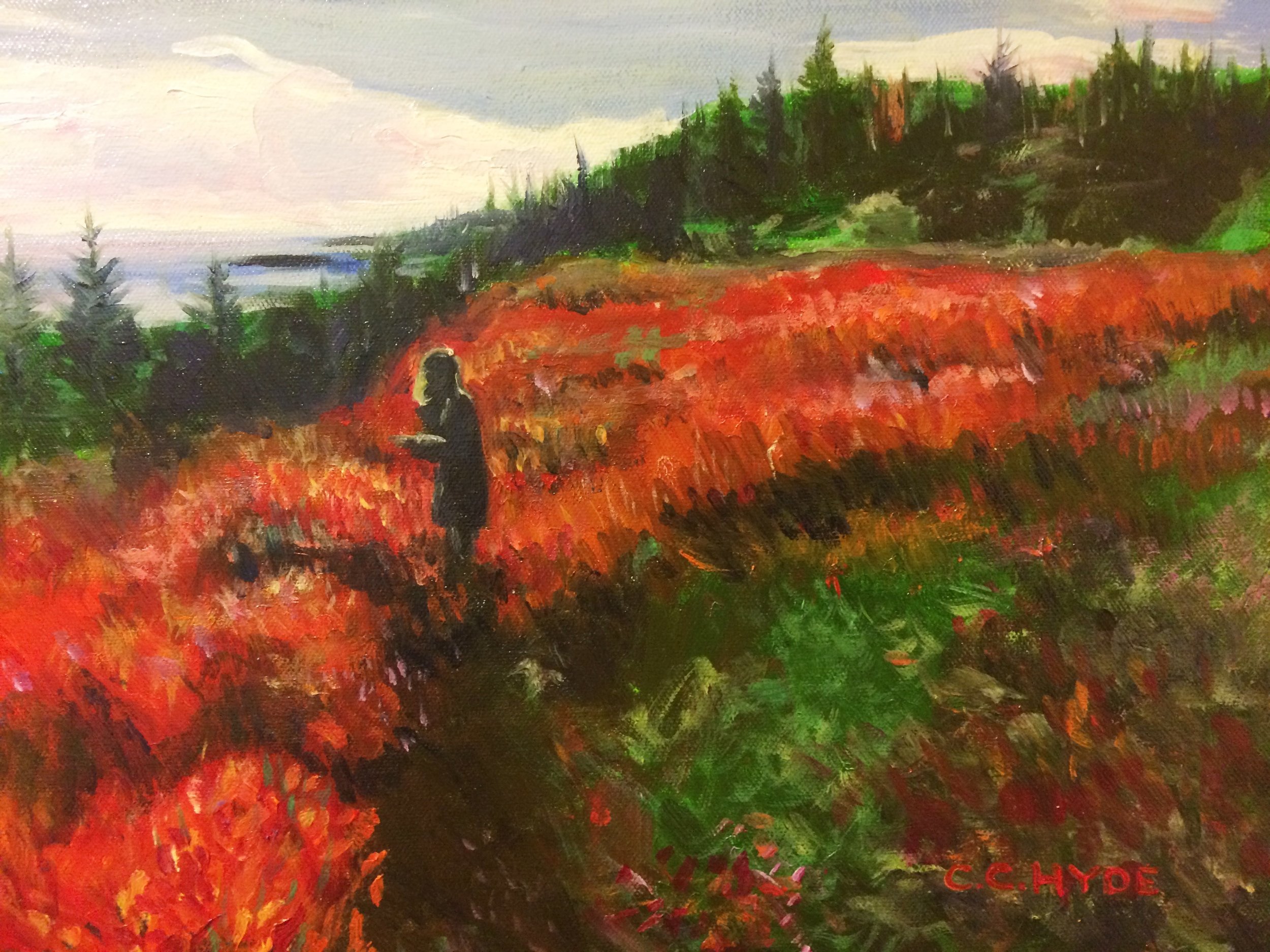 Girl on the Cliffpath.JPG