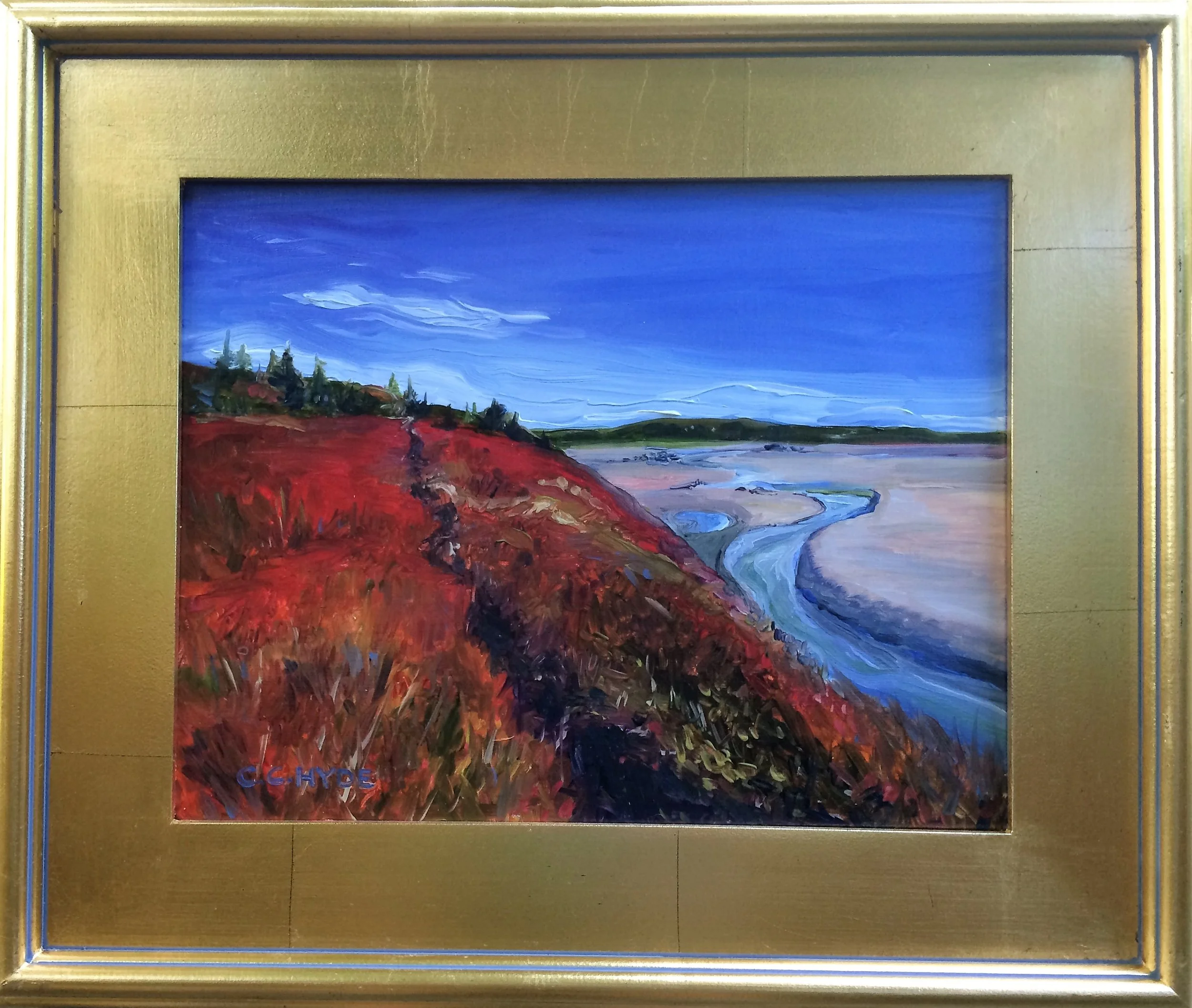 Cliff path framed.JPG