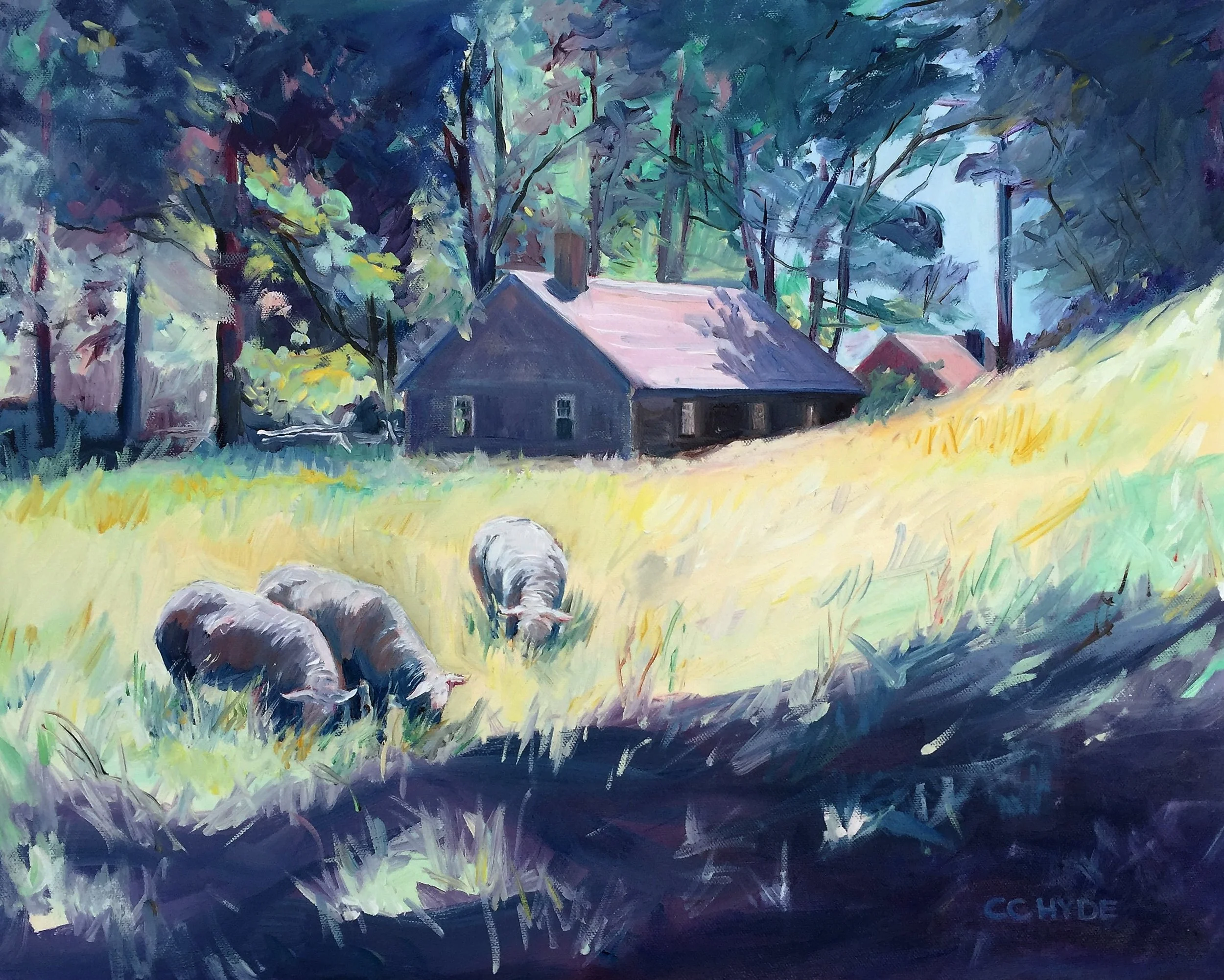 Sheep in Sturbridge Village