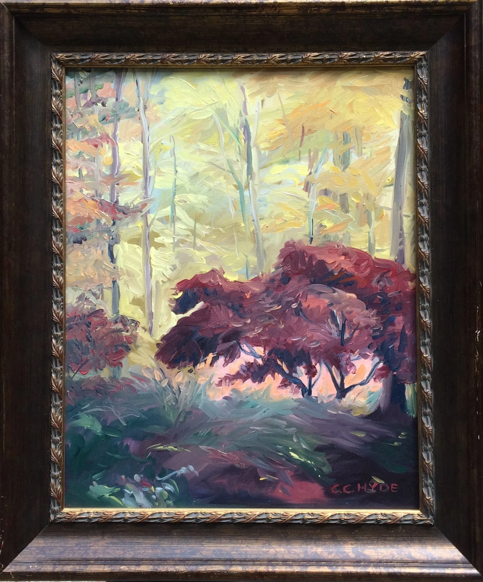 Red Maple framed.JPG