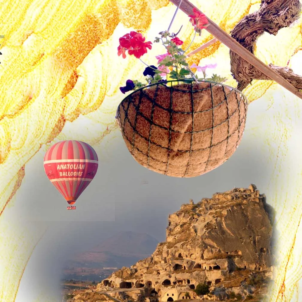 生活在旅行，旅行在生活