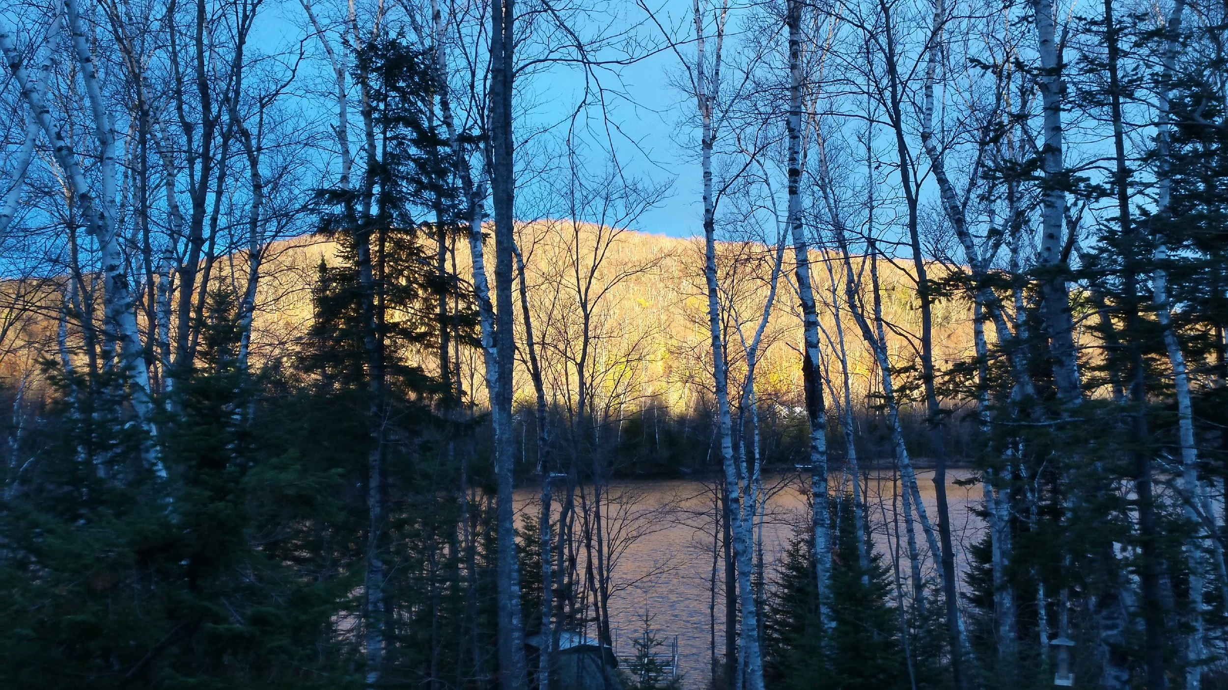 20151030_074503_Richtone(HDR).jpg