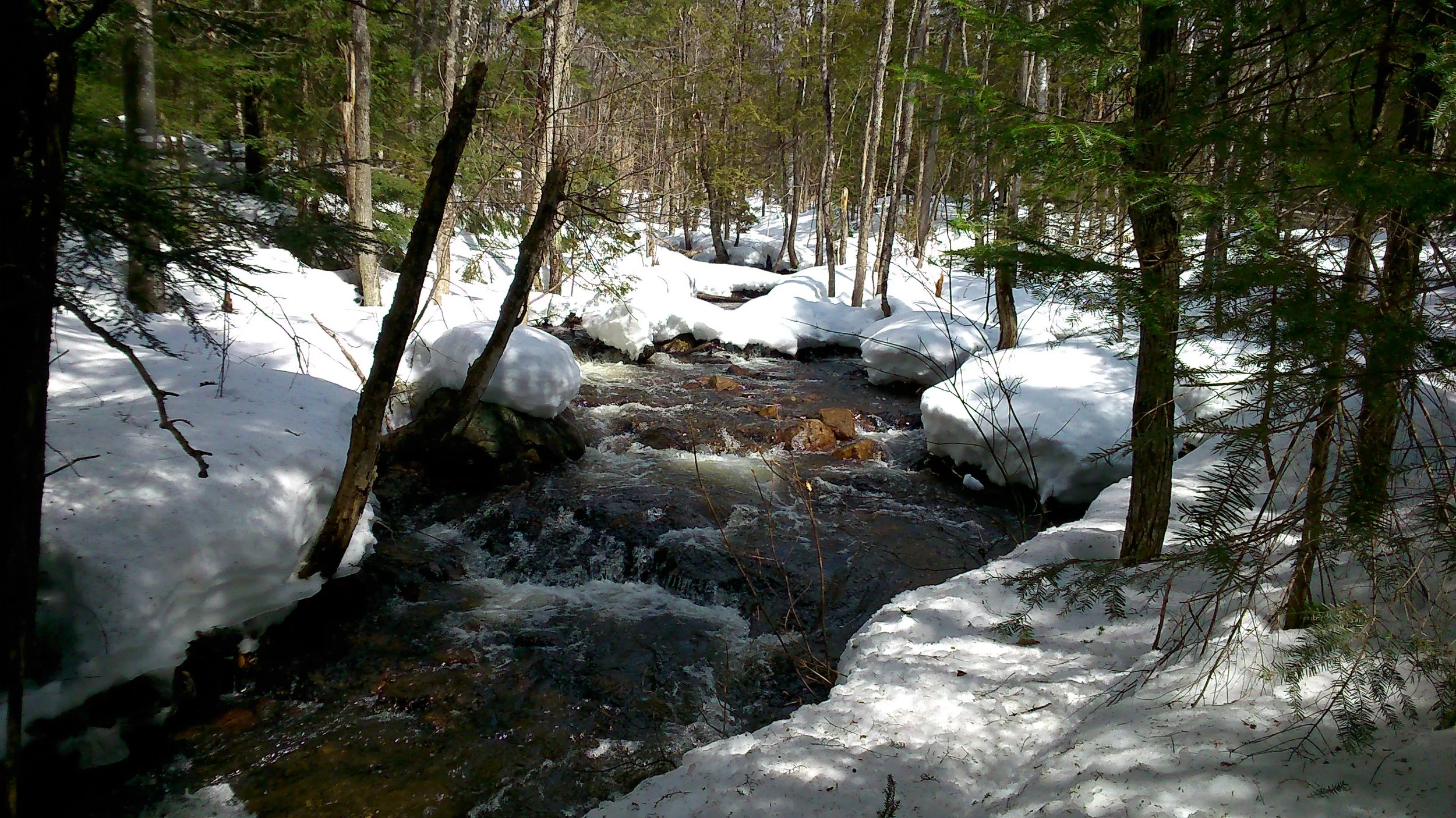 DSC_2975.JPG