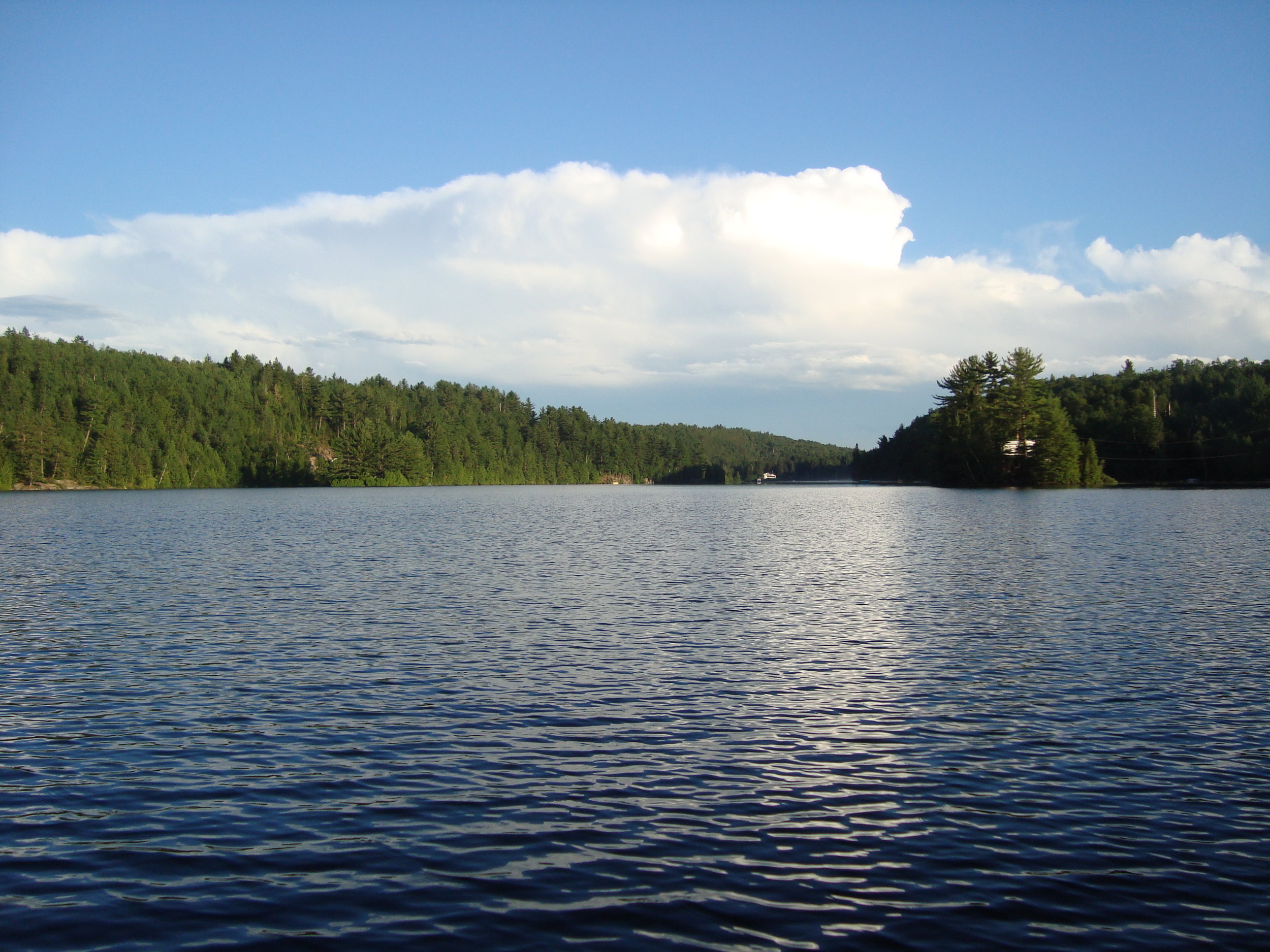 2010 Vue du lac.JPG