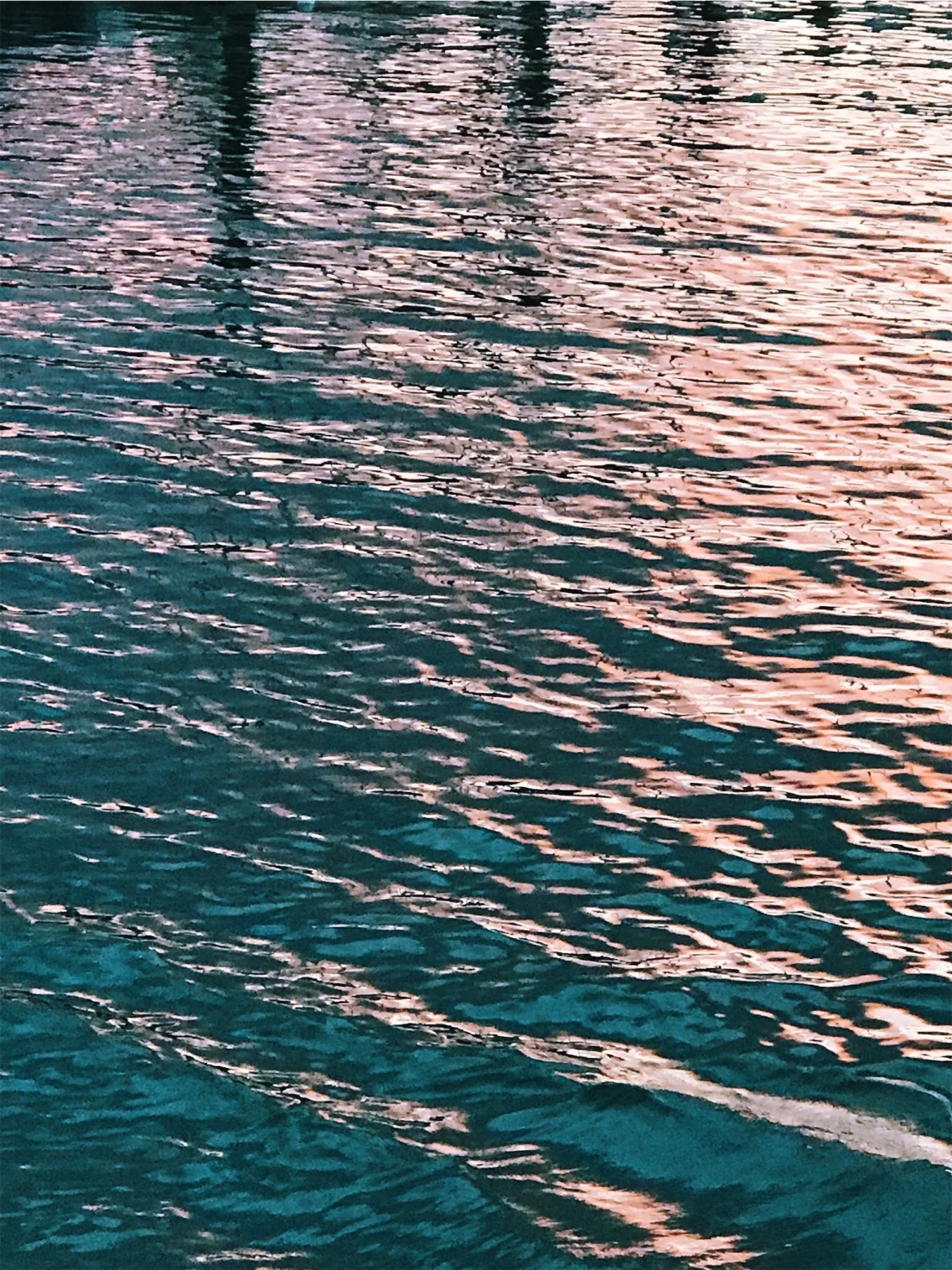 vsco5a171f66bae6c.jpg