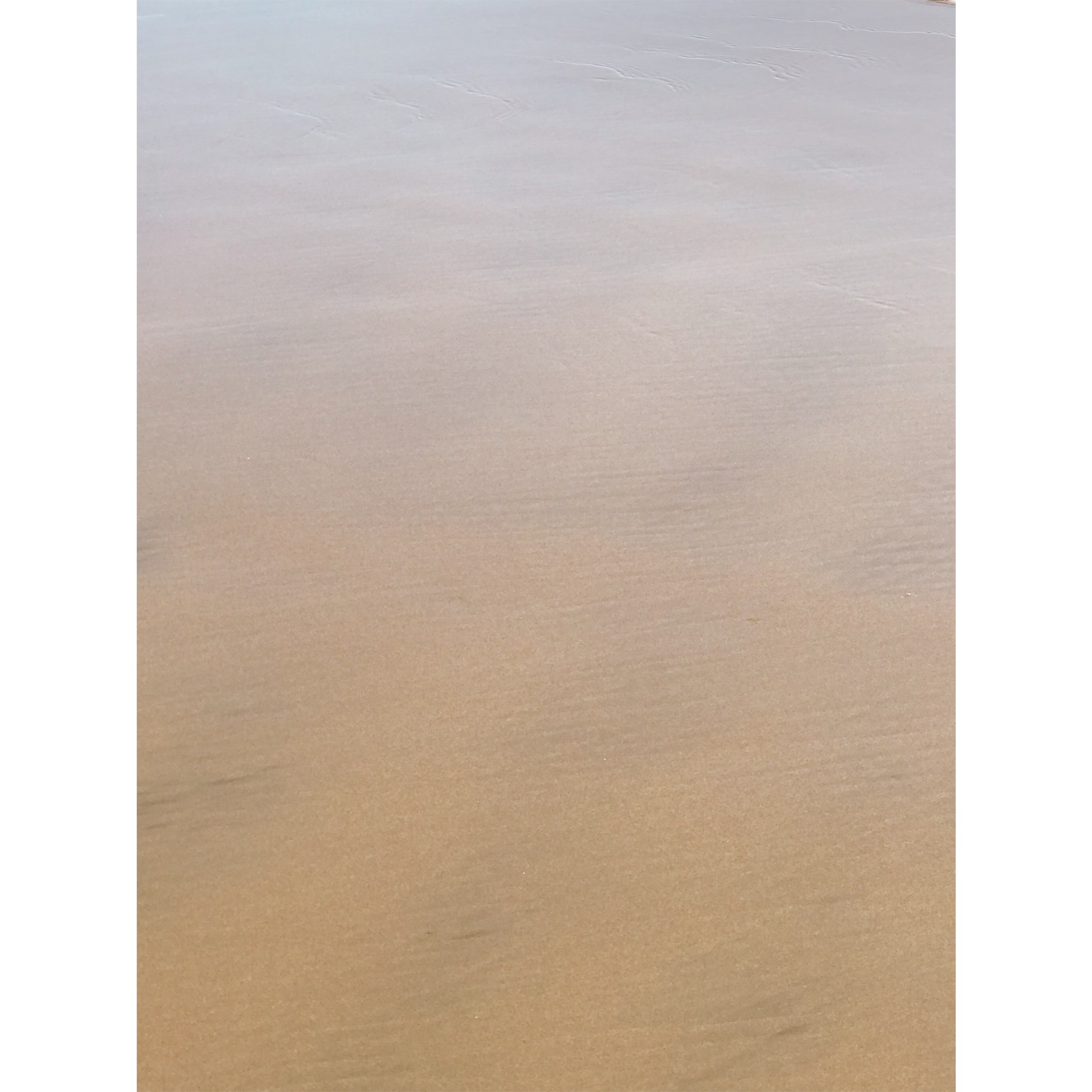 Processed with VSCO with v8 preset