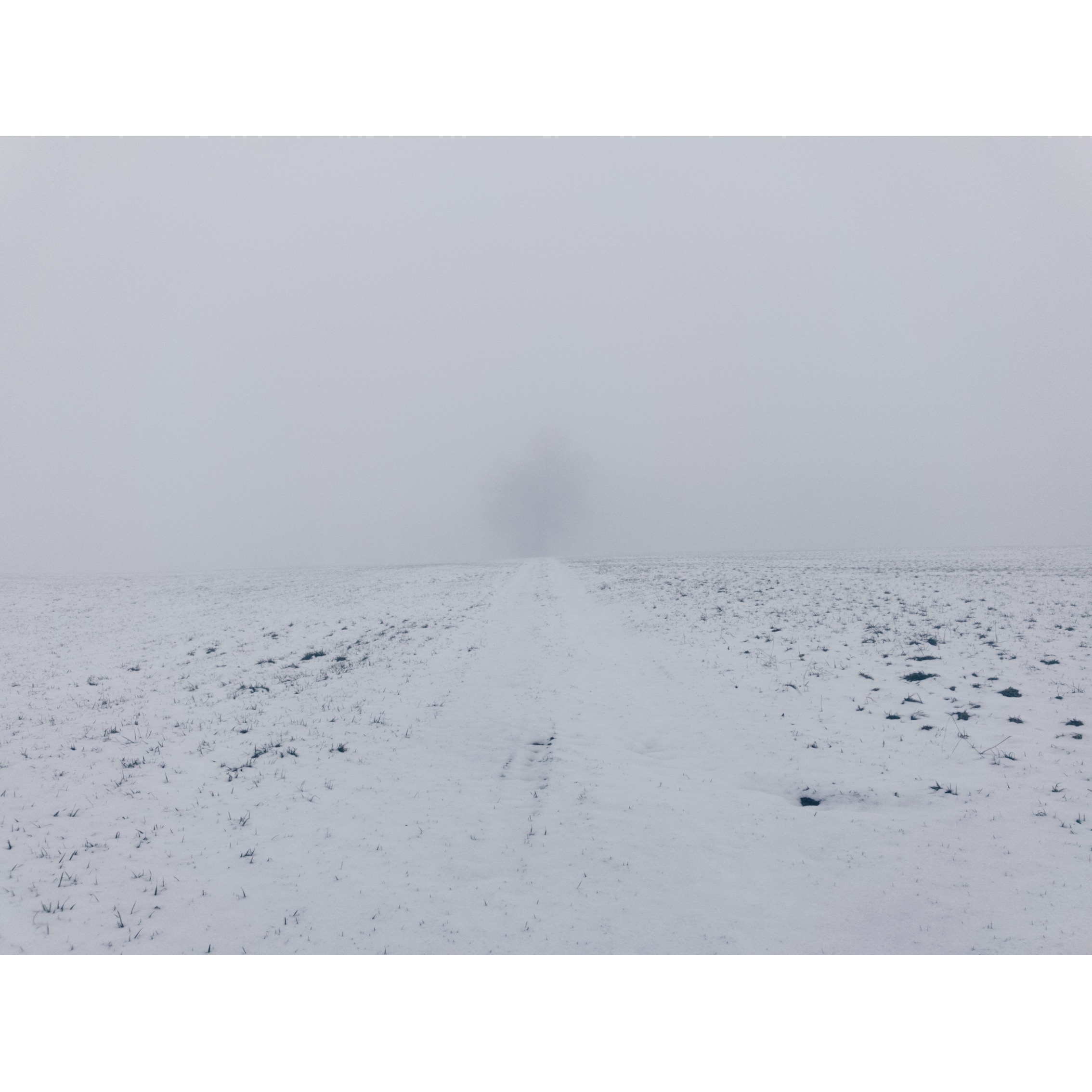 Processed with VSCO with hb1 preset