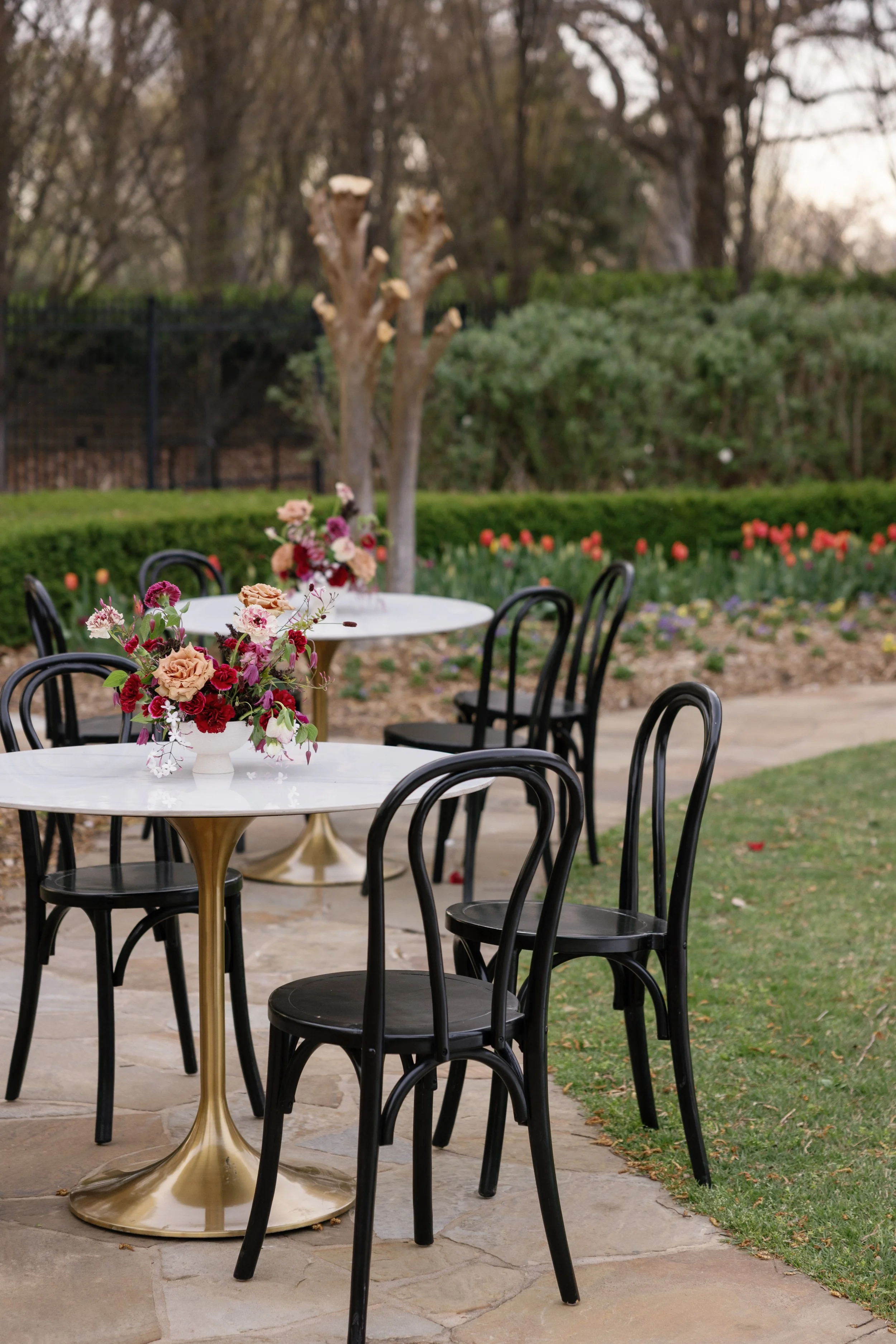 TriciaBaileyPhotography-1062.jpg